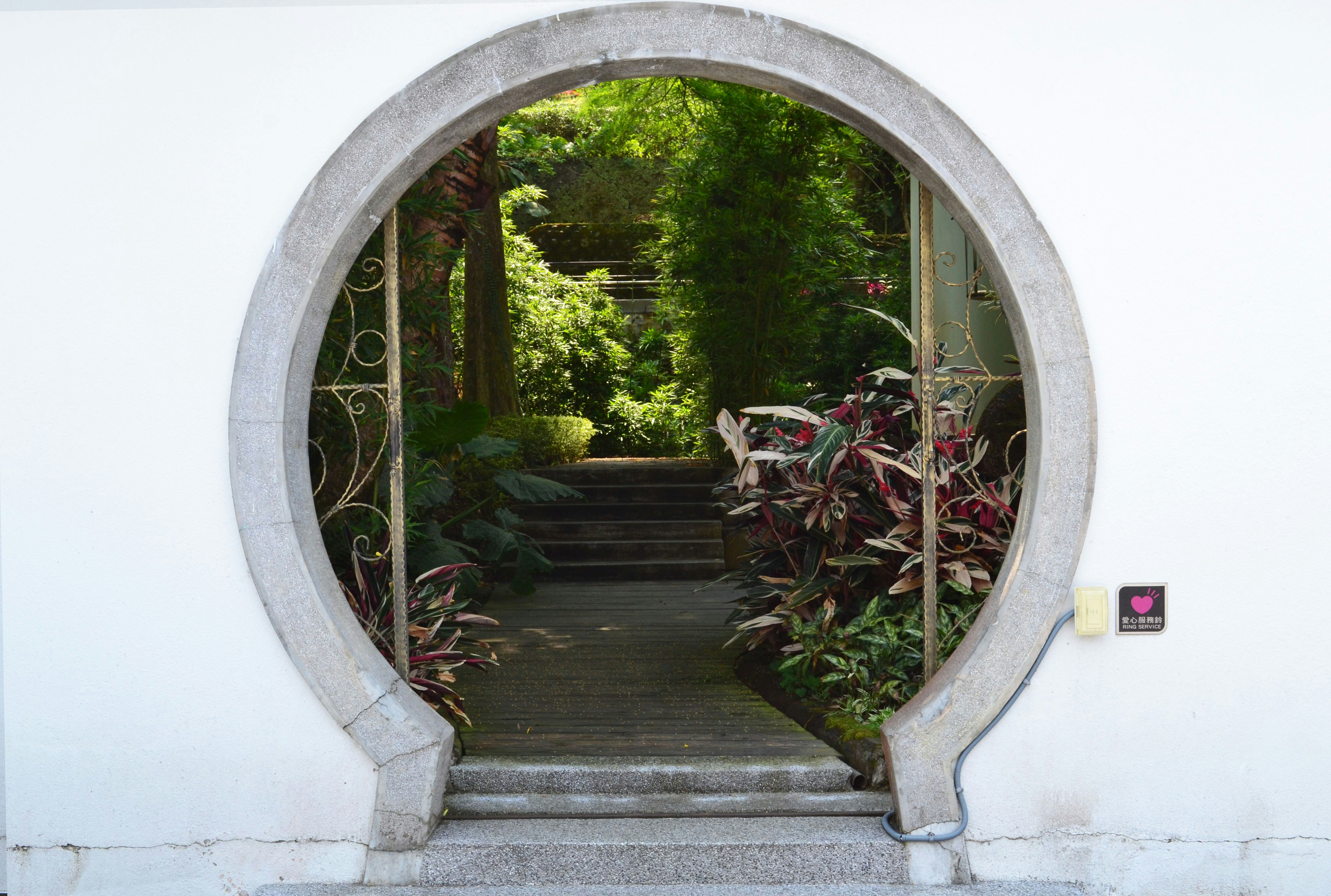 Photo by l_glazunova