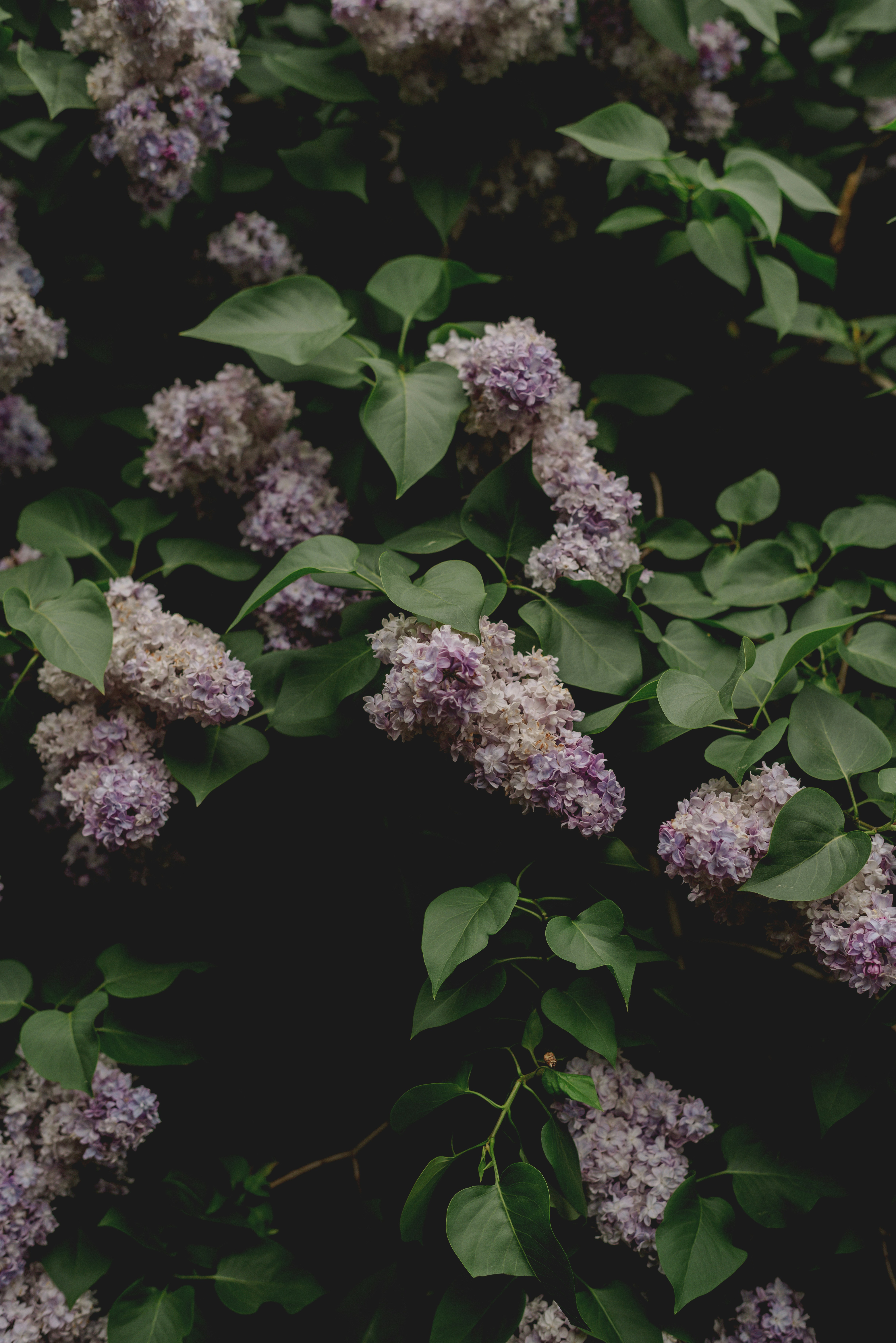 Photo by eugenivy_now