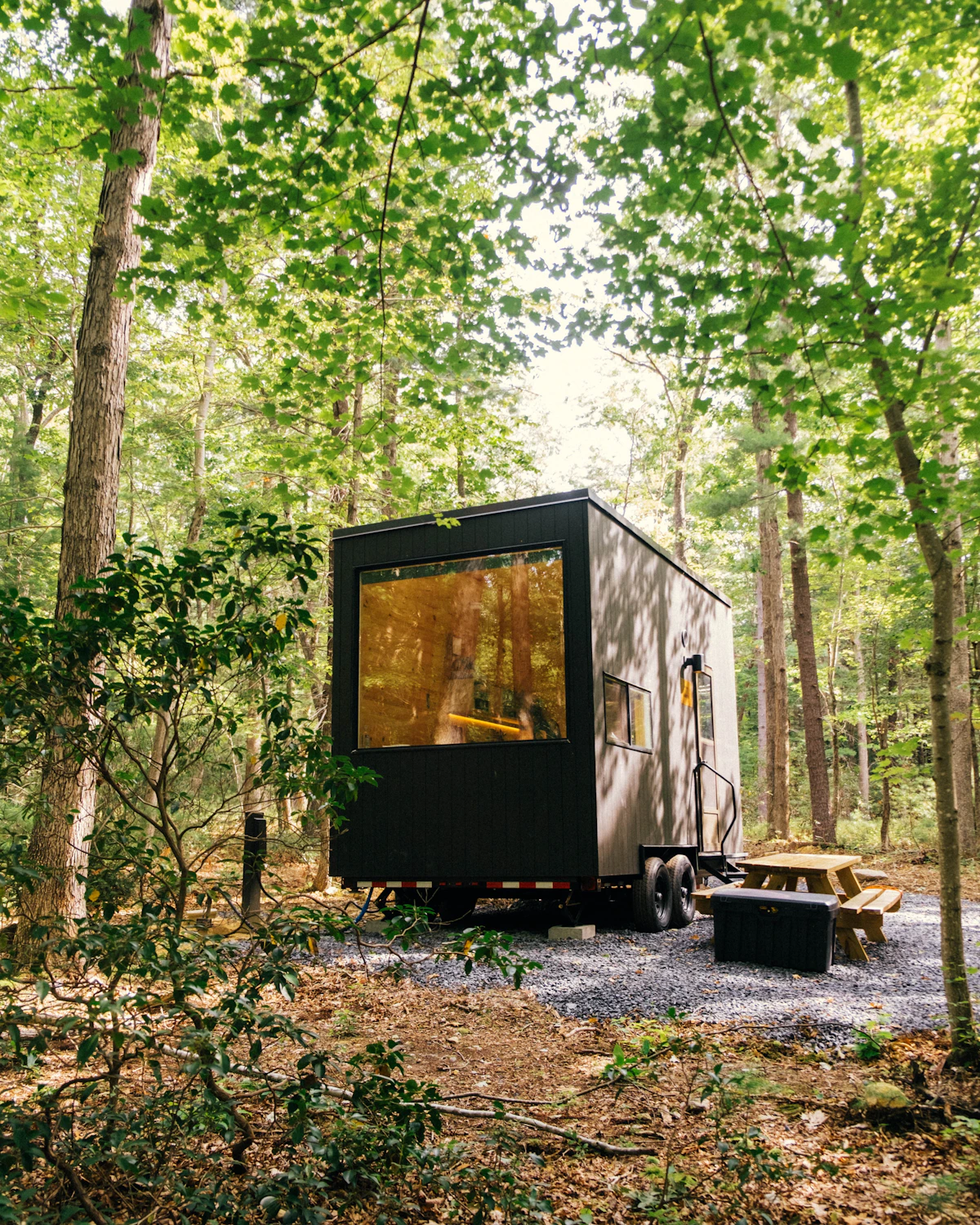Small cabin nestled in a wooded landscape