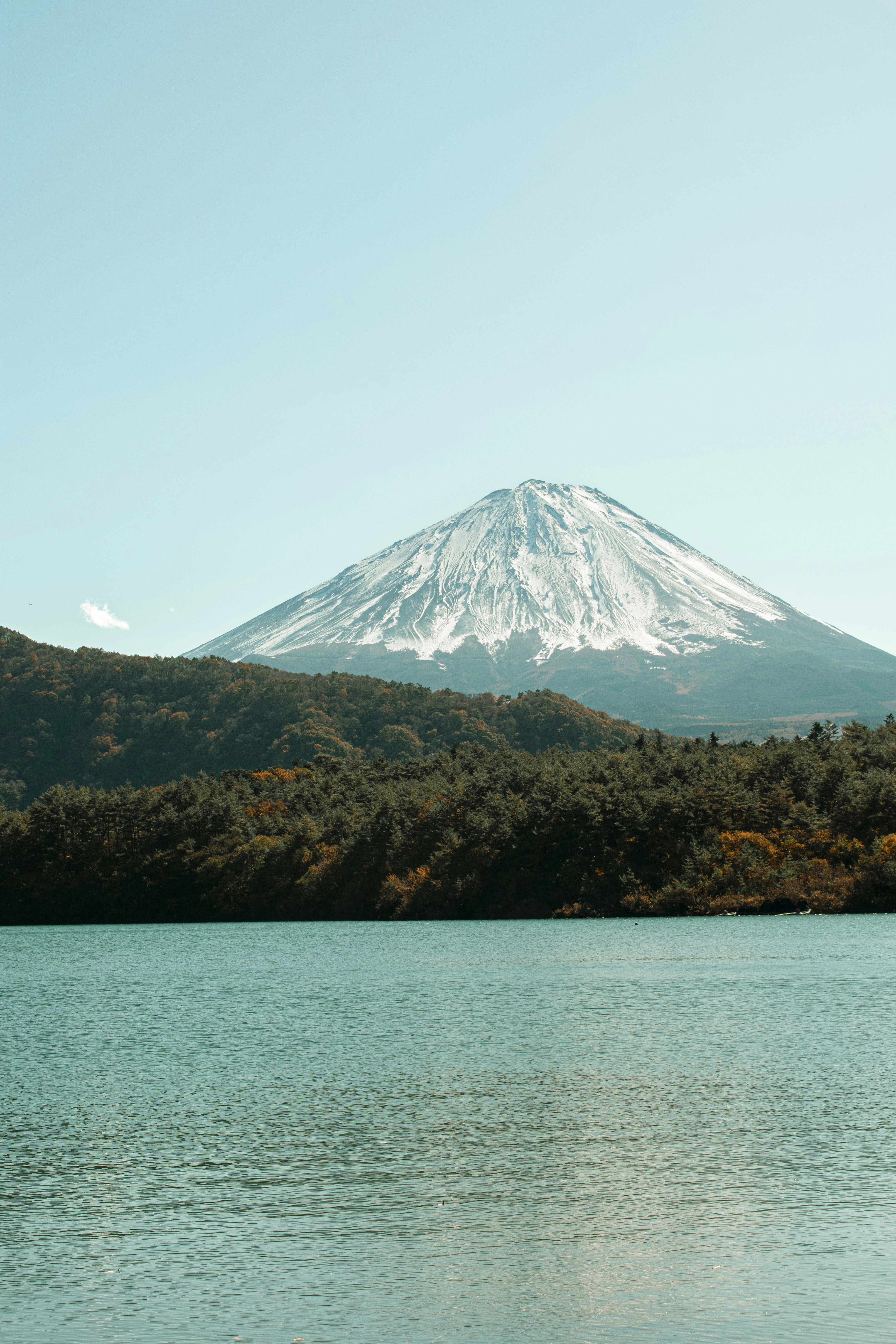 Photo by thisisnotasimulation