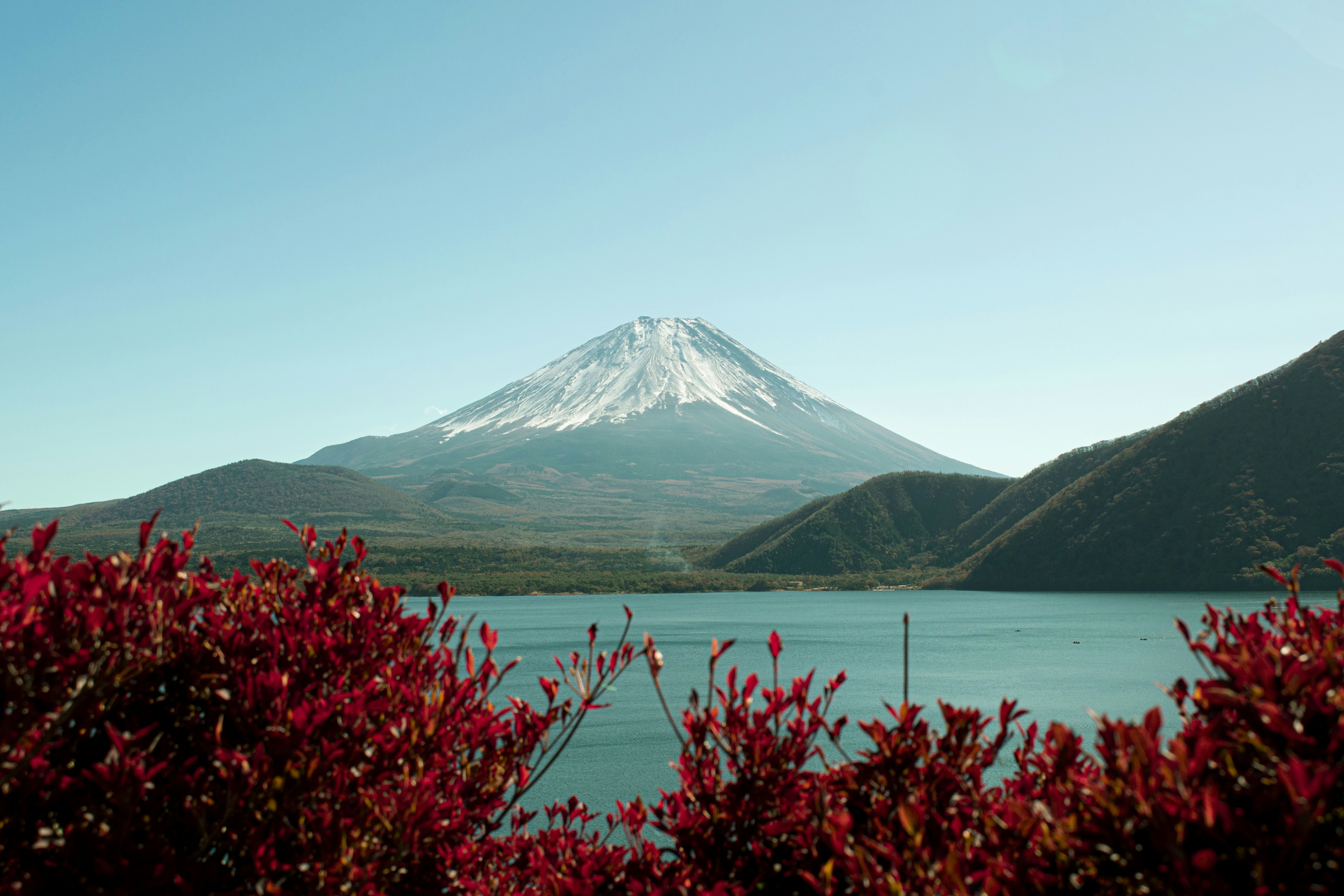 Photo by thisisnotasimulation