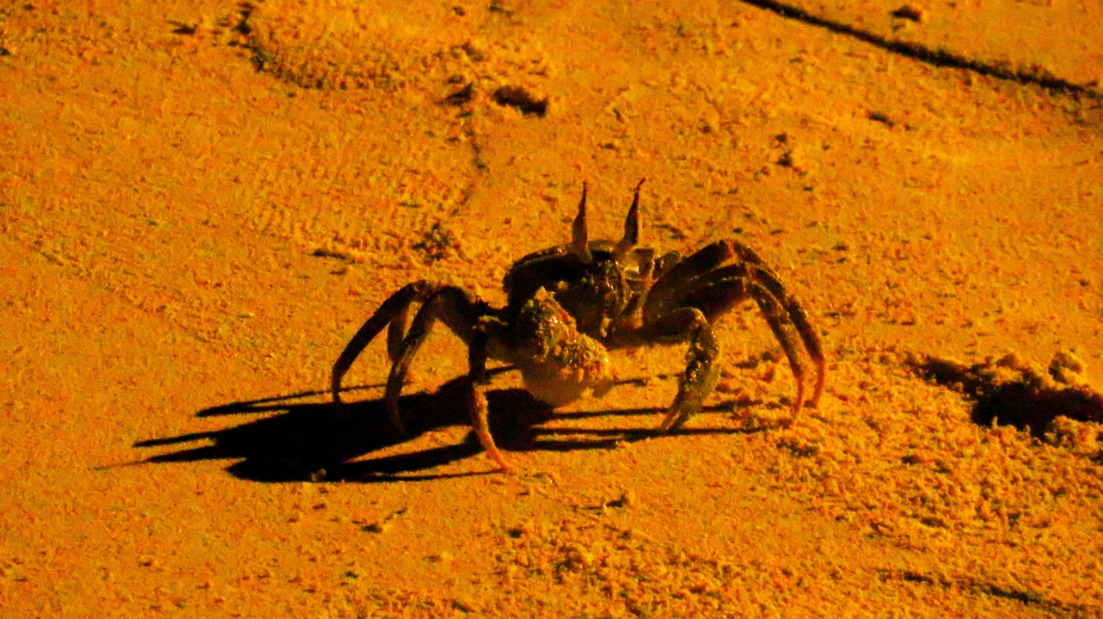 Transforming Old Devices: Turn Your Tablet into a Multi-Functional Crawler