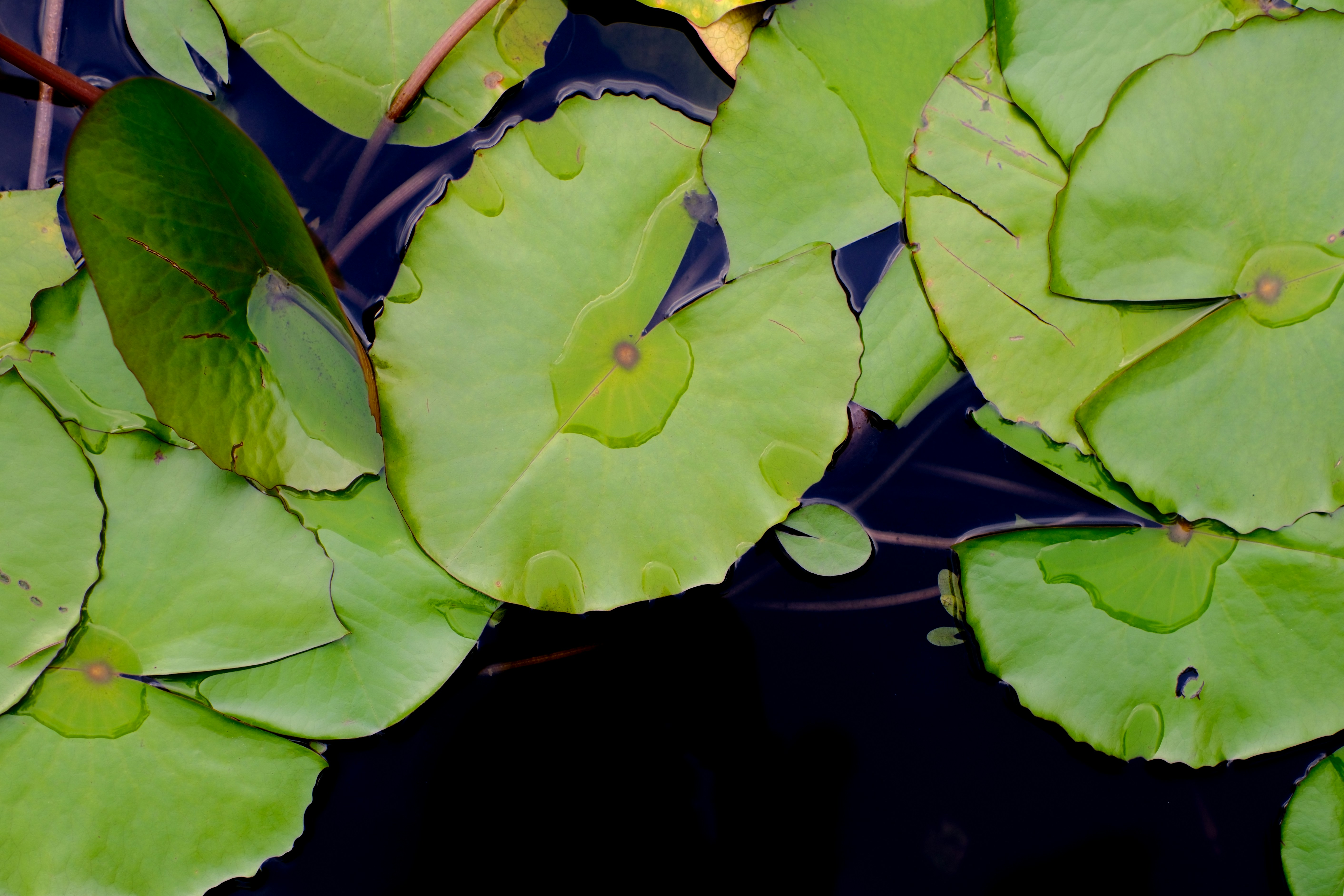 Photo by farnaz________