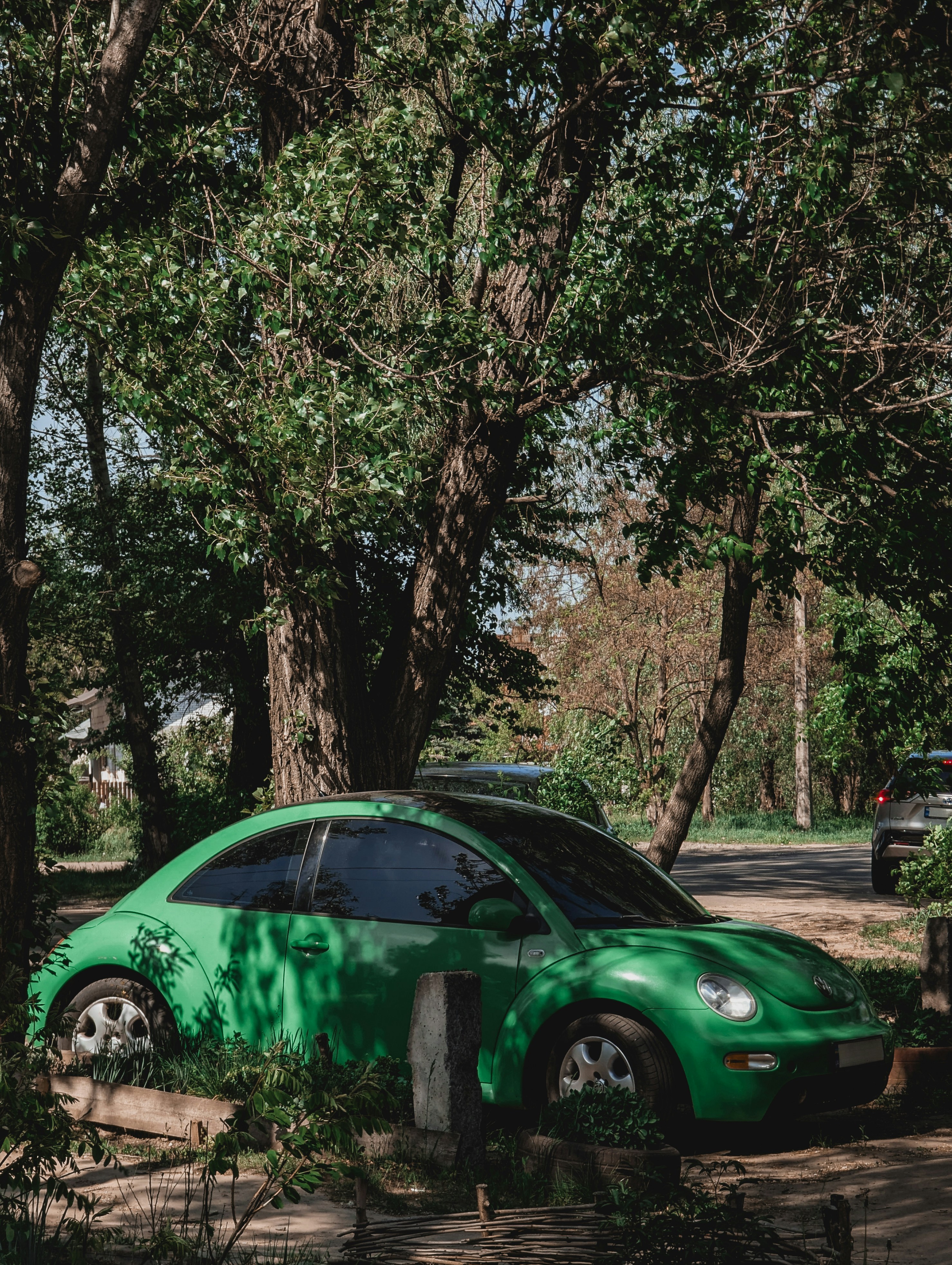 Revitalize Your Ride: Eco-Friendly Car Detailing Techniques to Transform Your Vehicle