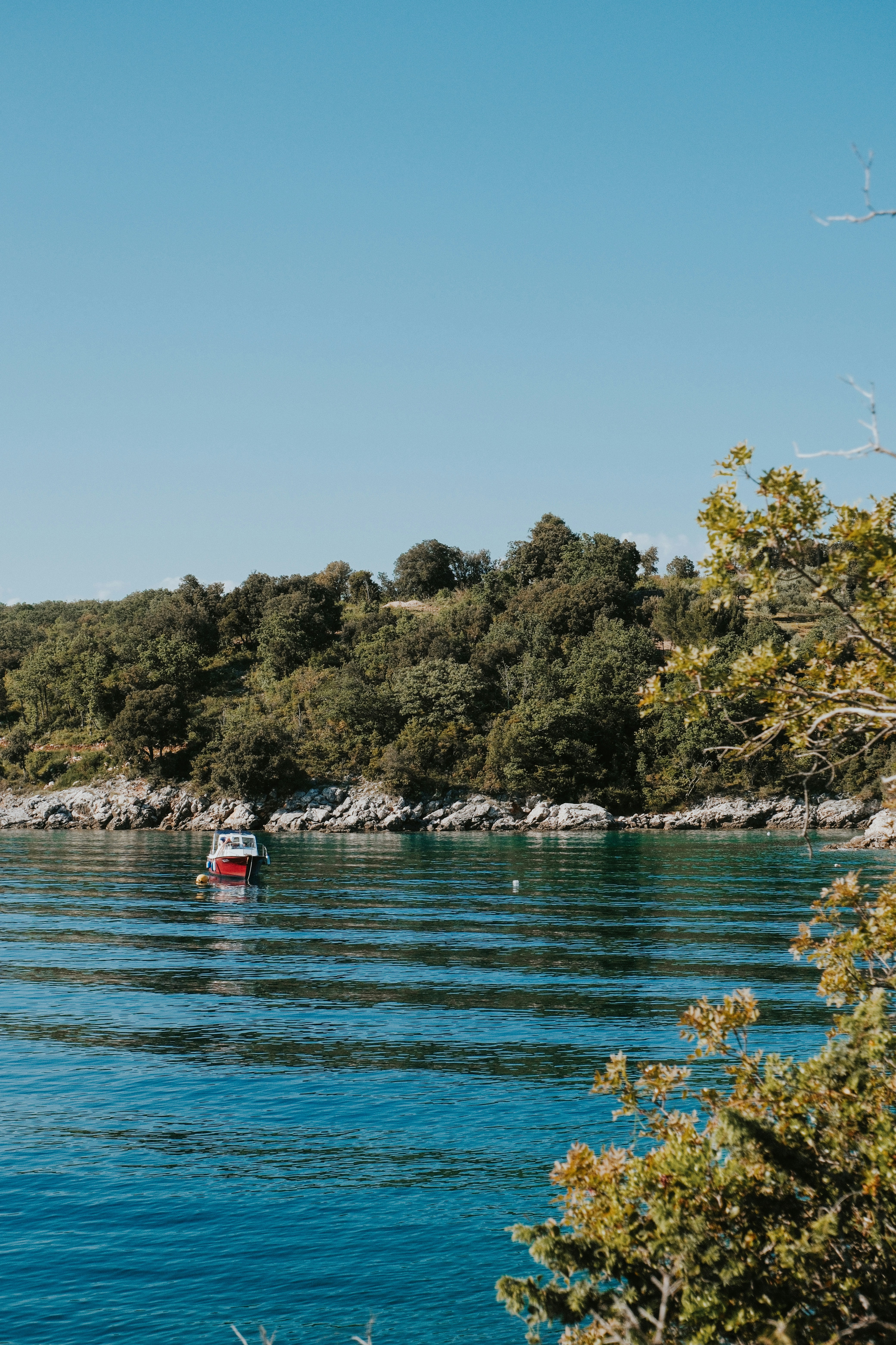 Photo by manca_cadez