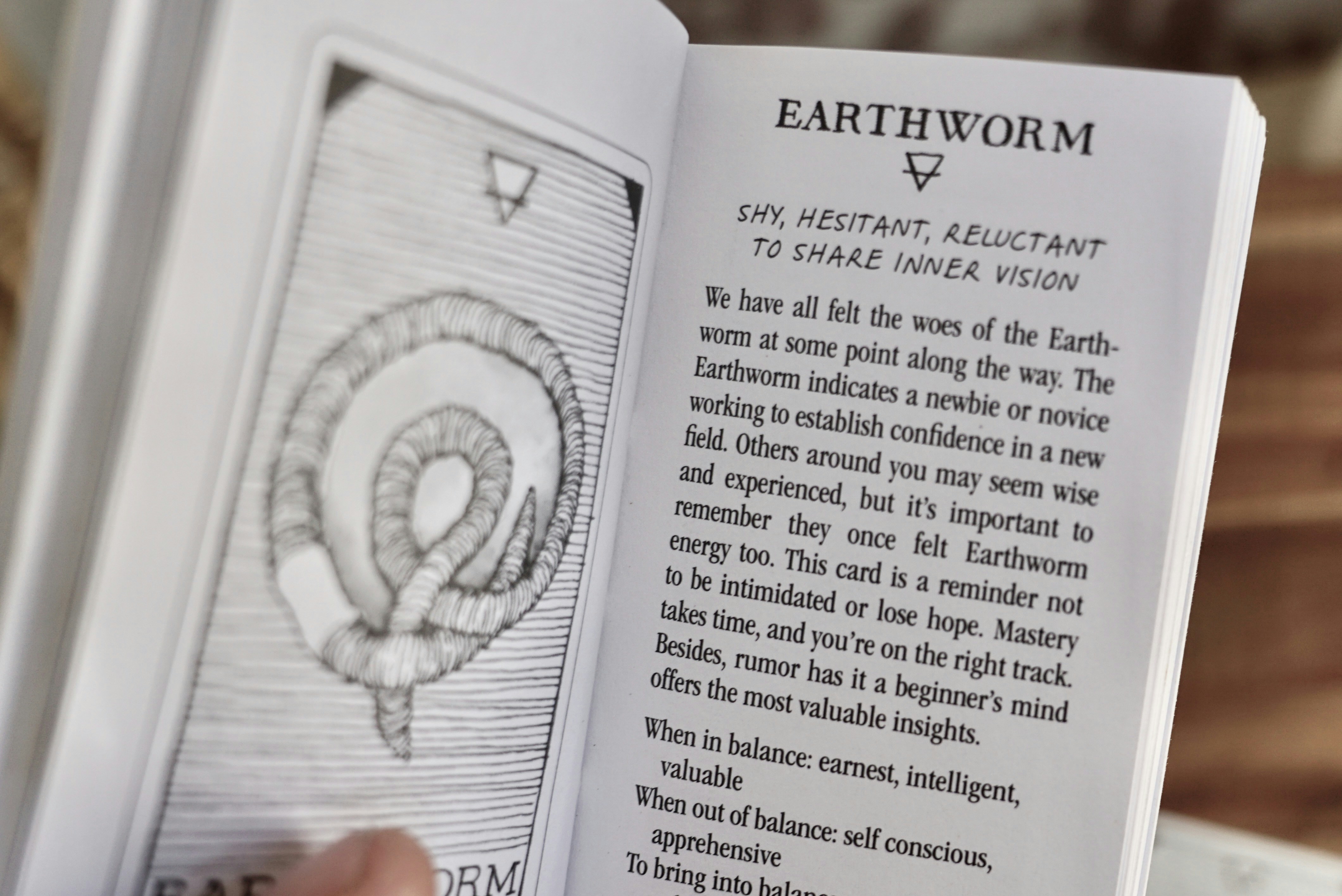 photo-1746638861676-5ee52cbe39da?ixid=M3wxMjA3fDB8MXxzZWFyY2h8N3x8cGFsd29ybGQlMjBzdG9yeSUyMGd1aWRlfGVufDB8fHx8MTc2MDI0MTQ4Nnww\u0026ixlib=rb-4.1.0