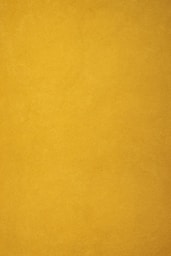 A plain, textured background of golden yellow.