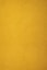 A plain, textured background of golden yellow.