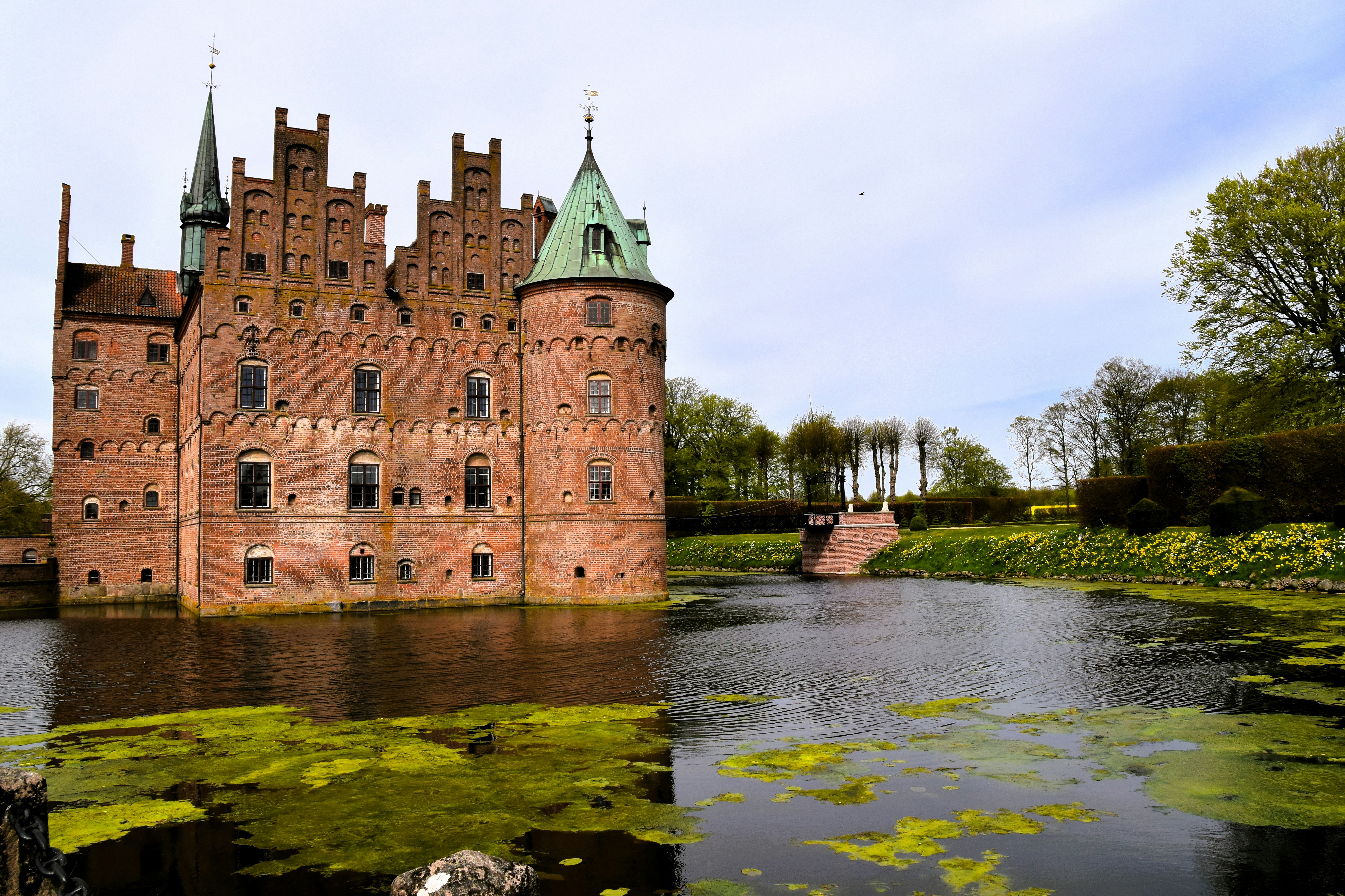 Photo by waldemarbrandt67w