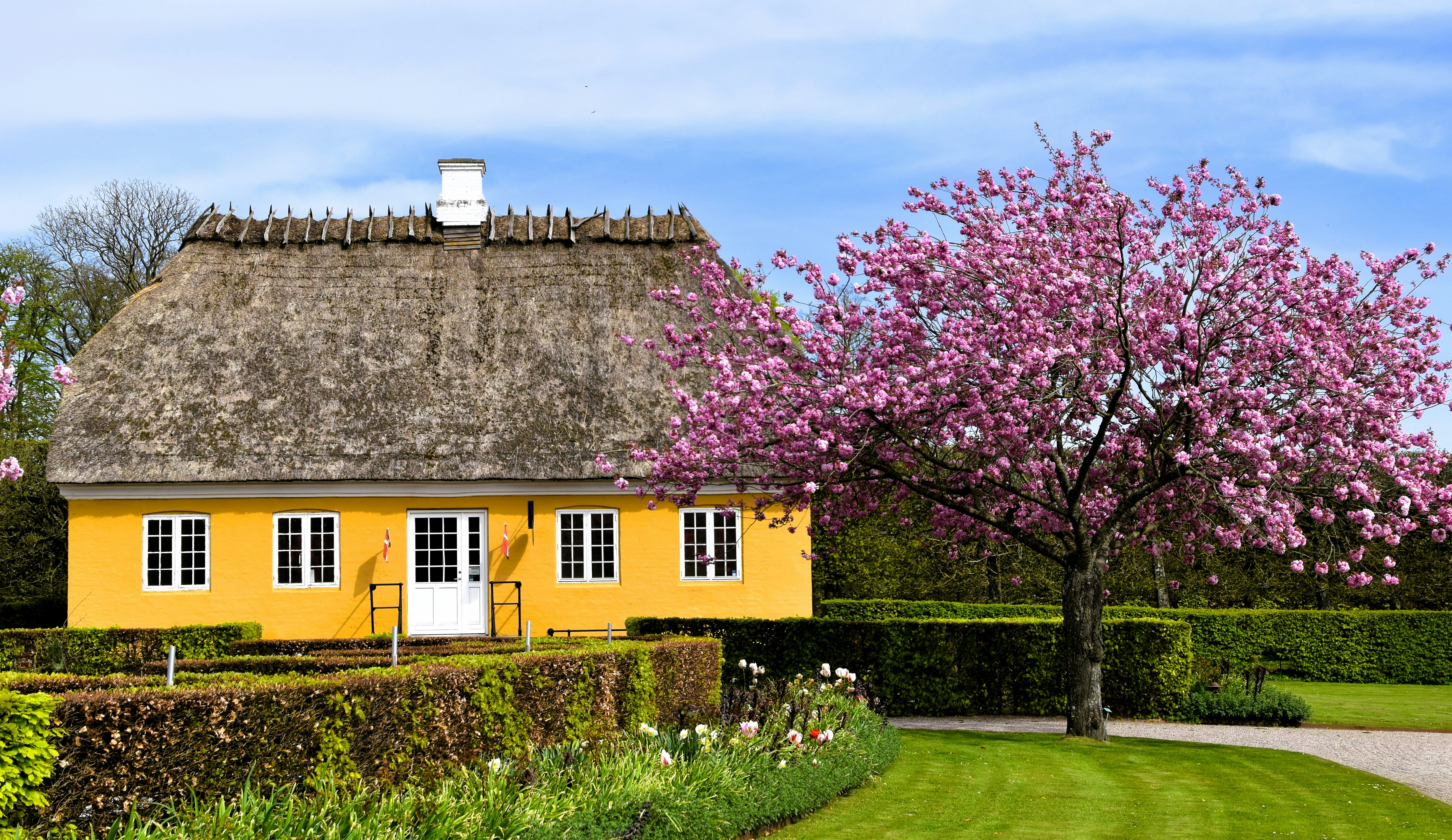 Photo by waldemarbrandt67w