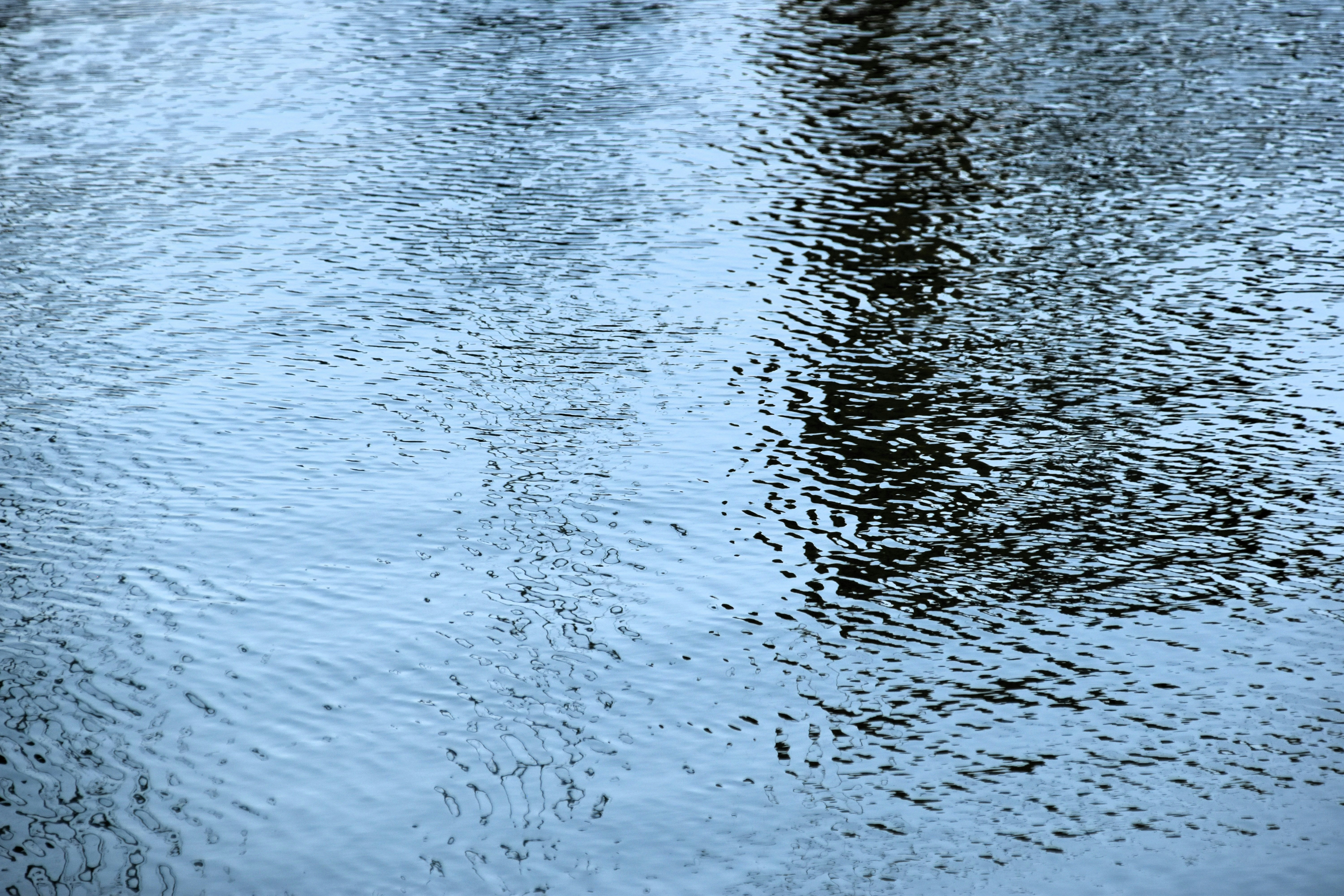 Photo by waldemarbrandt67w