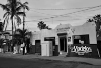 Top Local Coffee Shops in San Jose del Cabo Worth Seeking Out