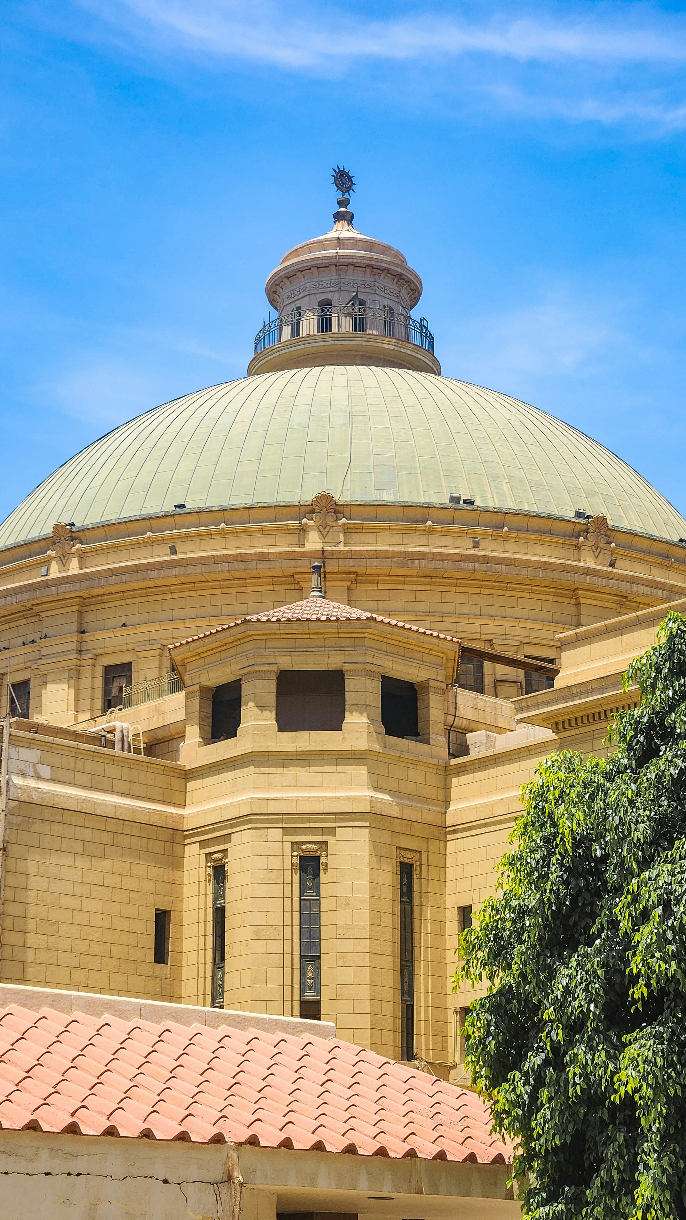 Photo by canismajoris