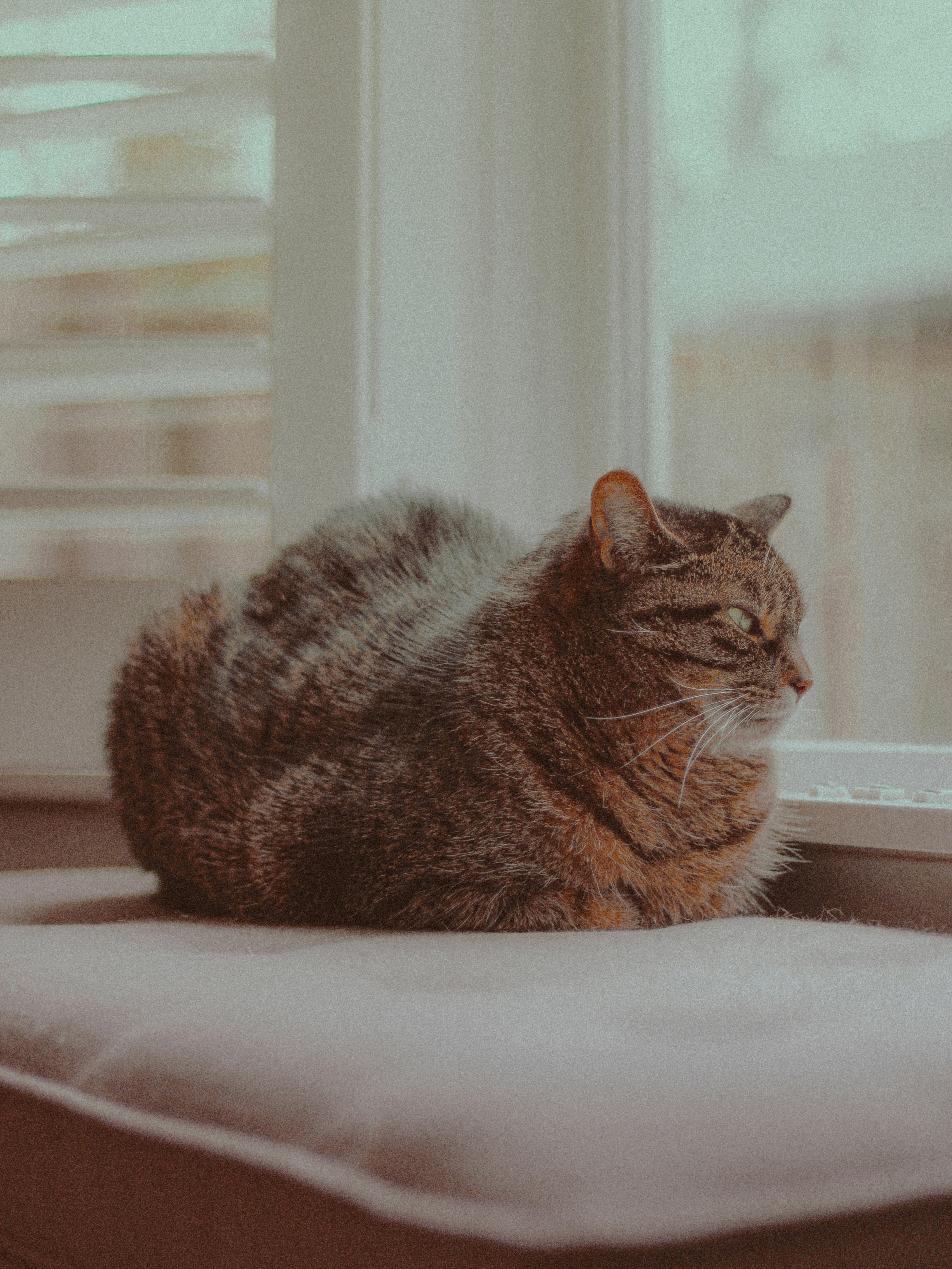 Photo by linusbelanger