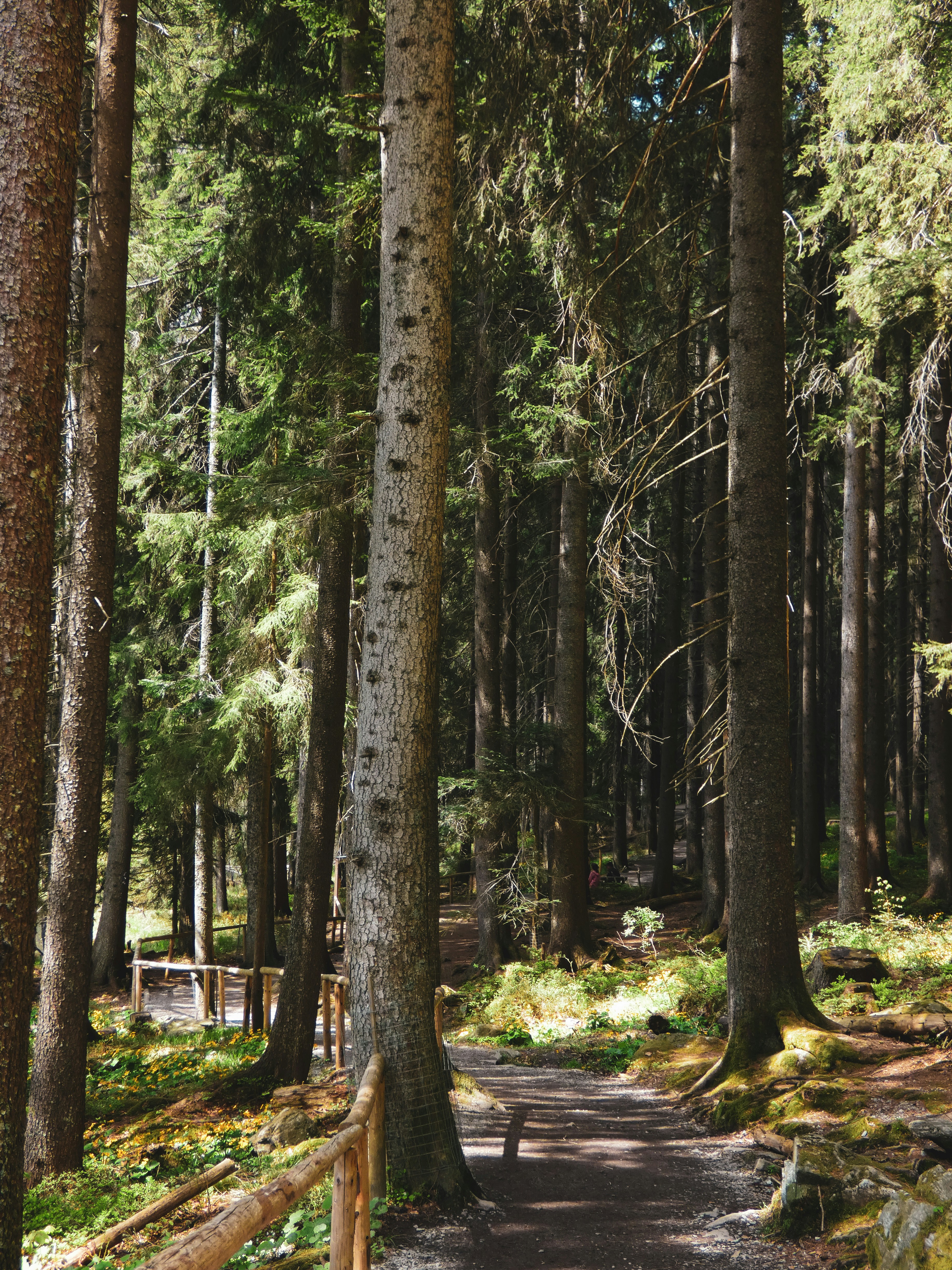 Photo by alexandreic