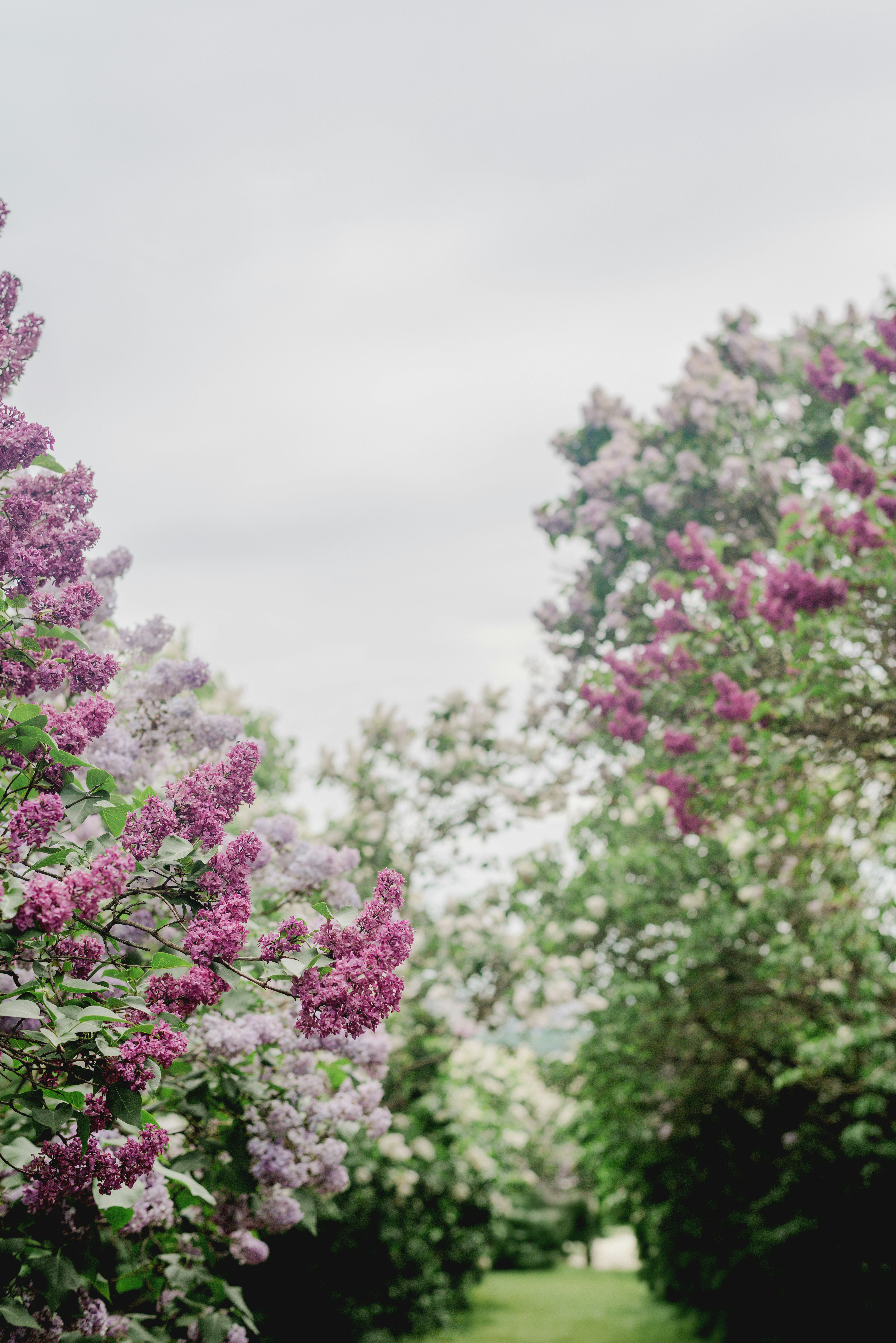 Photo by eugenivy_now