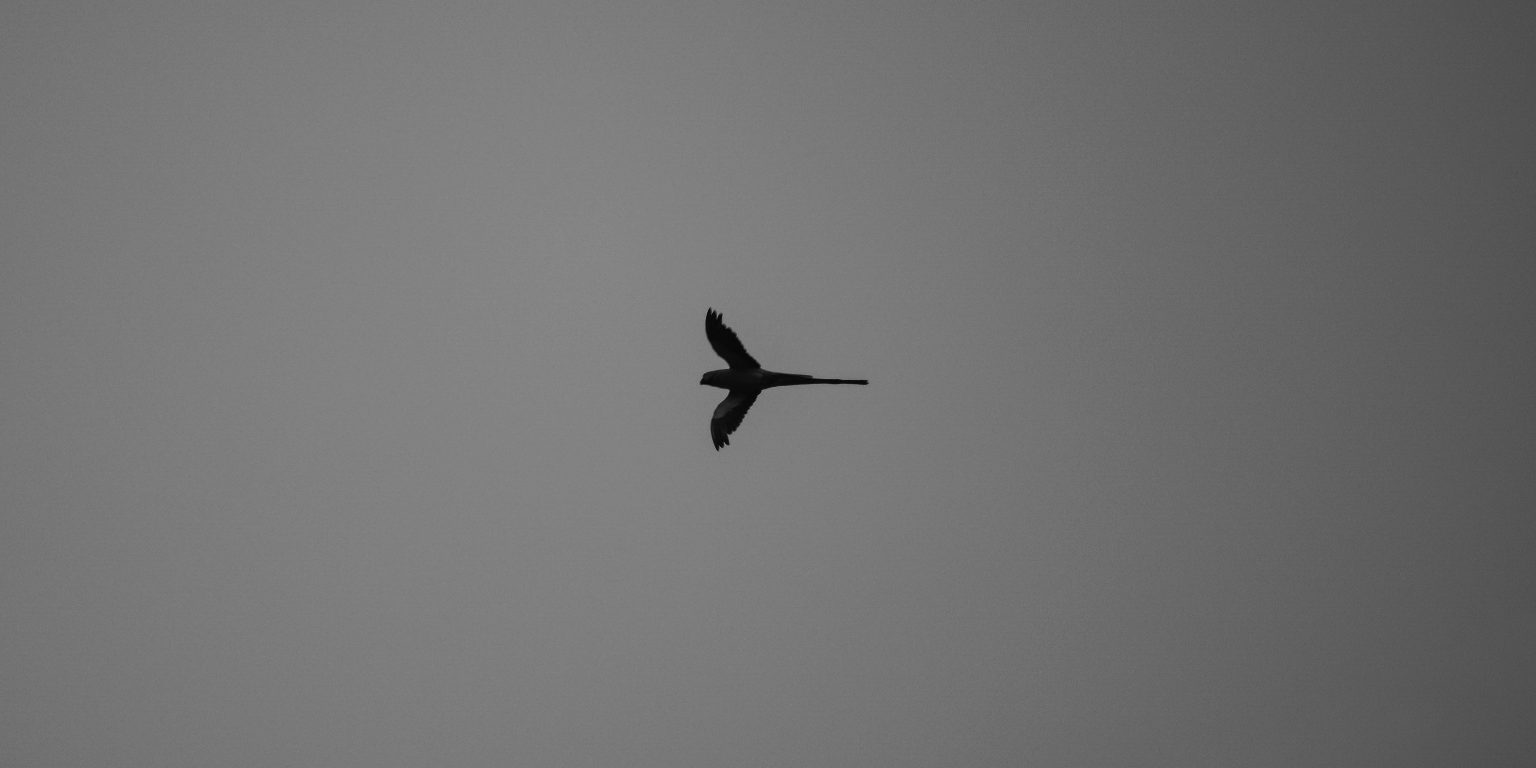 Photo by sahiljaiswal