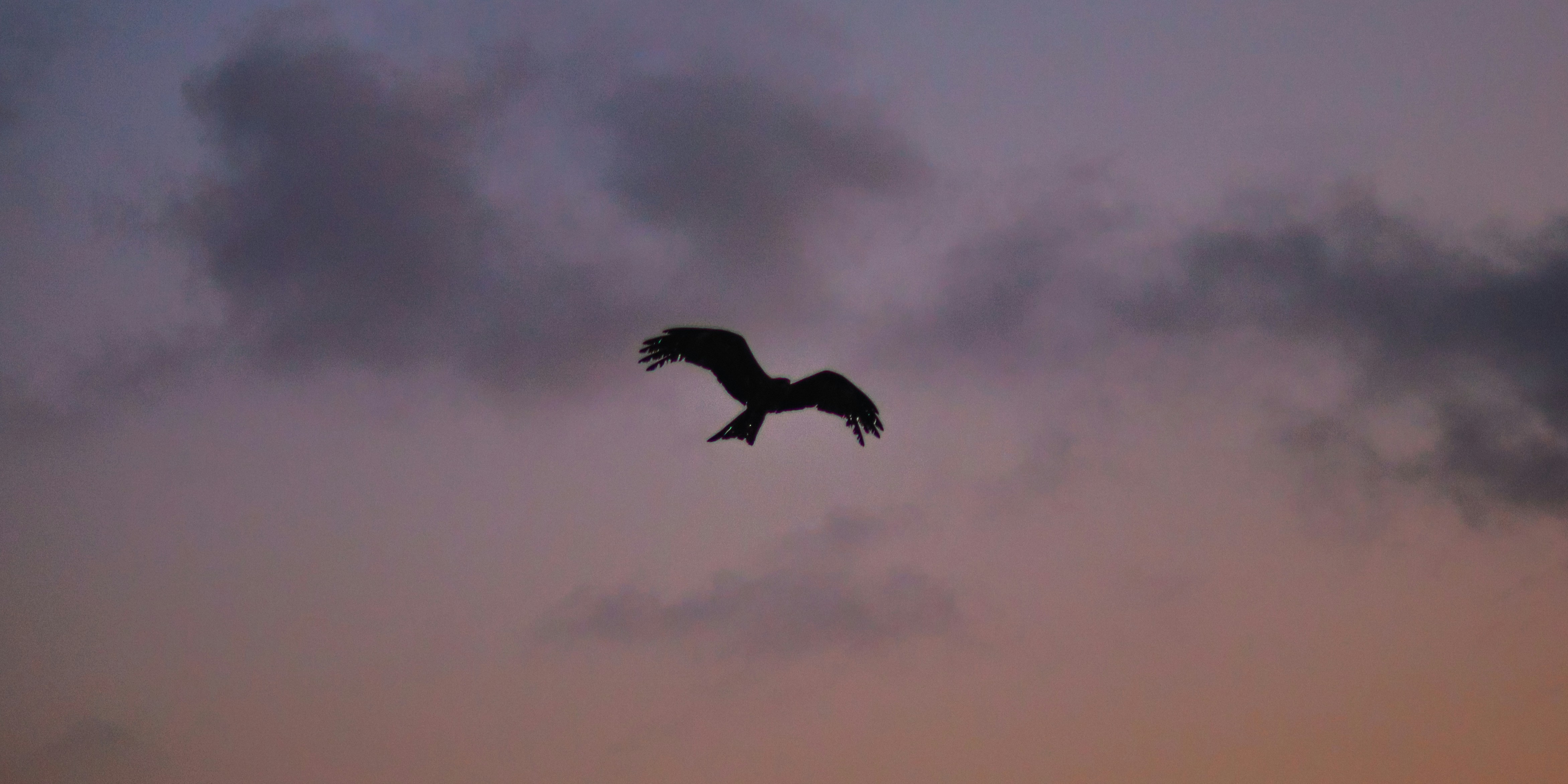 Photo by sahiljaiswal