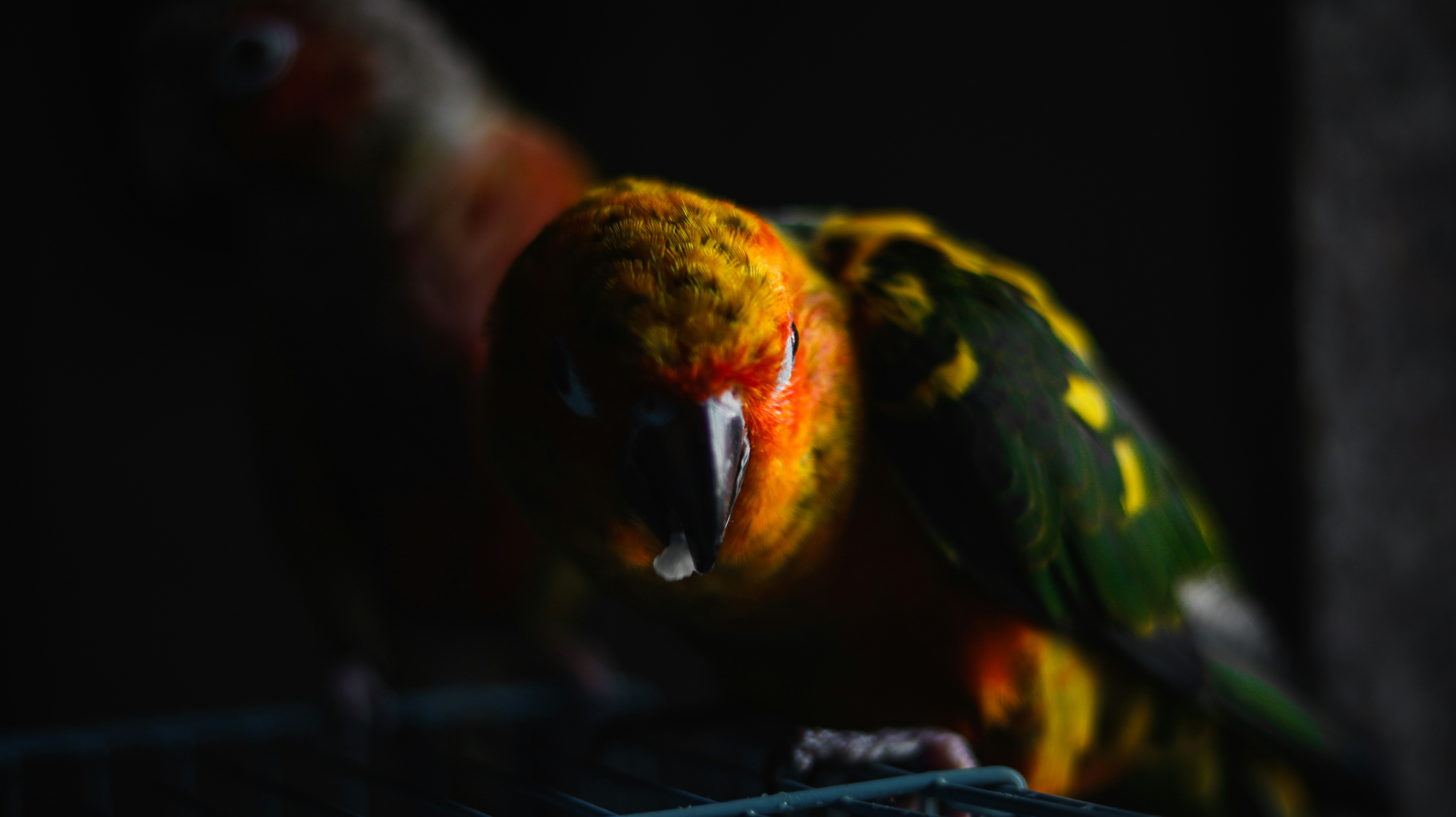 Photo by sahiljaiswal