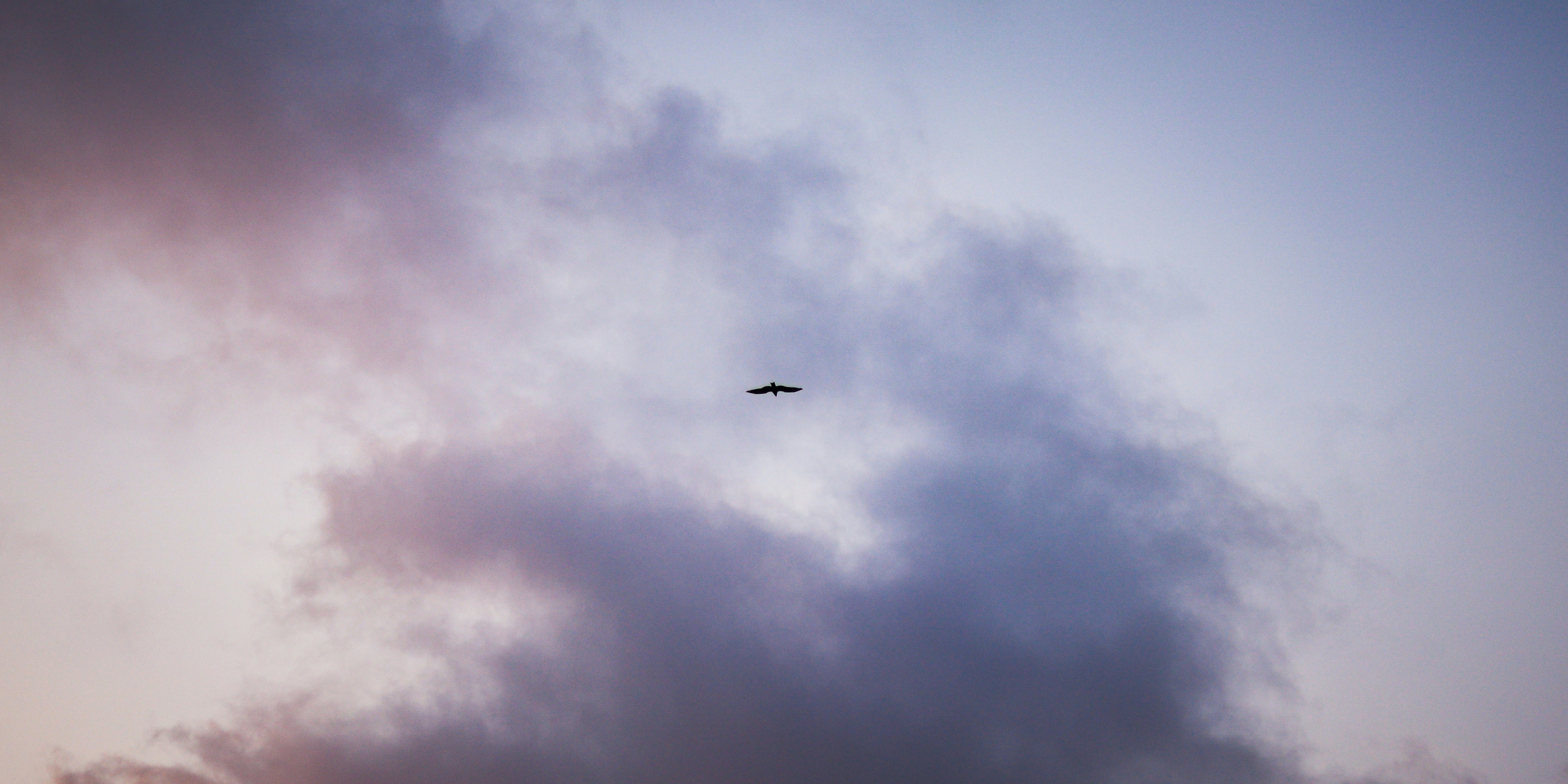 Photo by sahiljaiswal