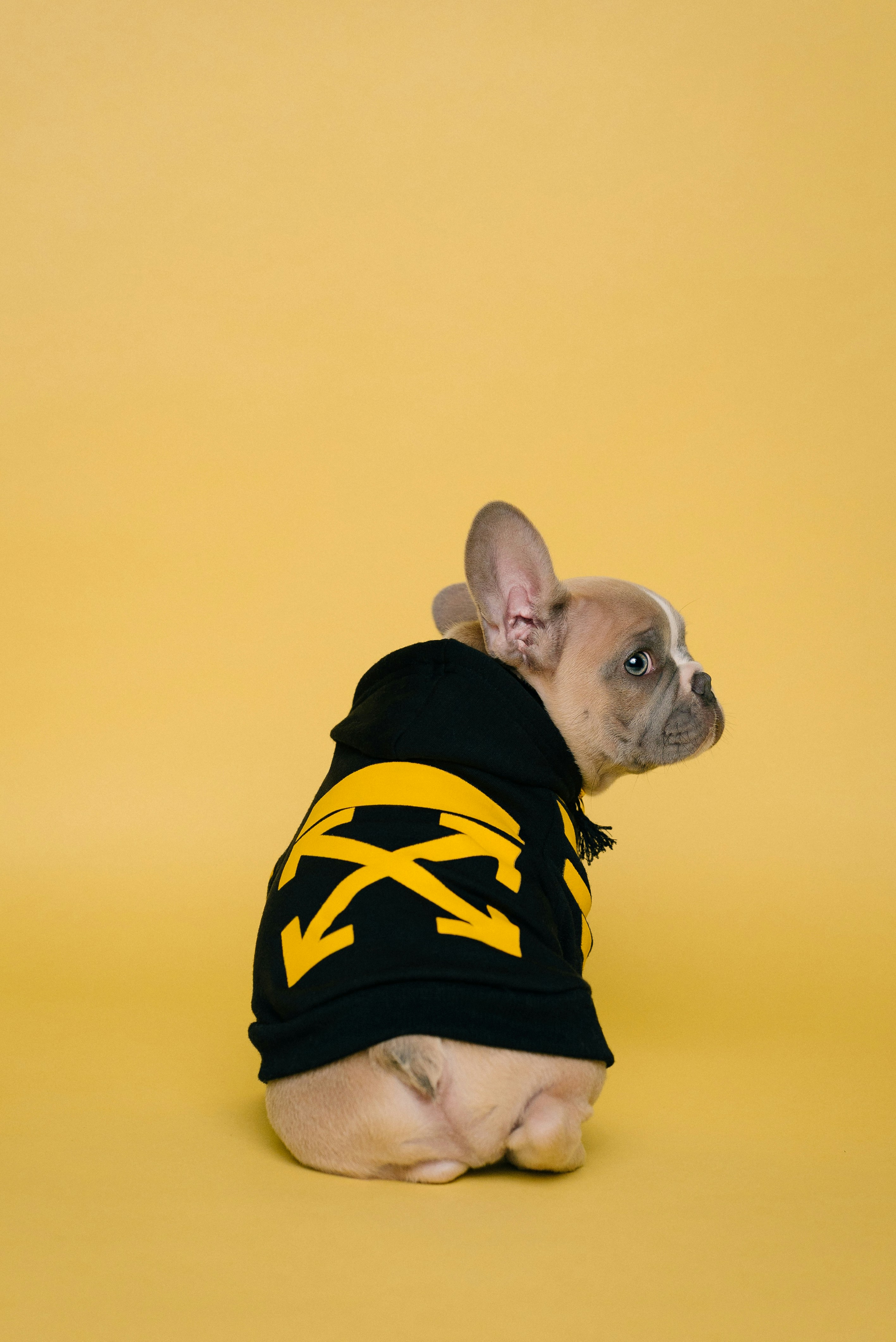 streetwear hoodie wallpaper, wallpaper, Oversized Hoodies: Styling Tips for Streetwear 3