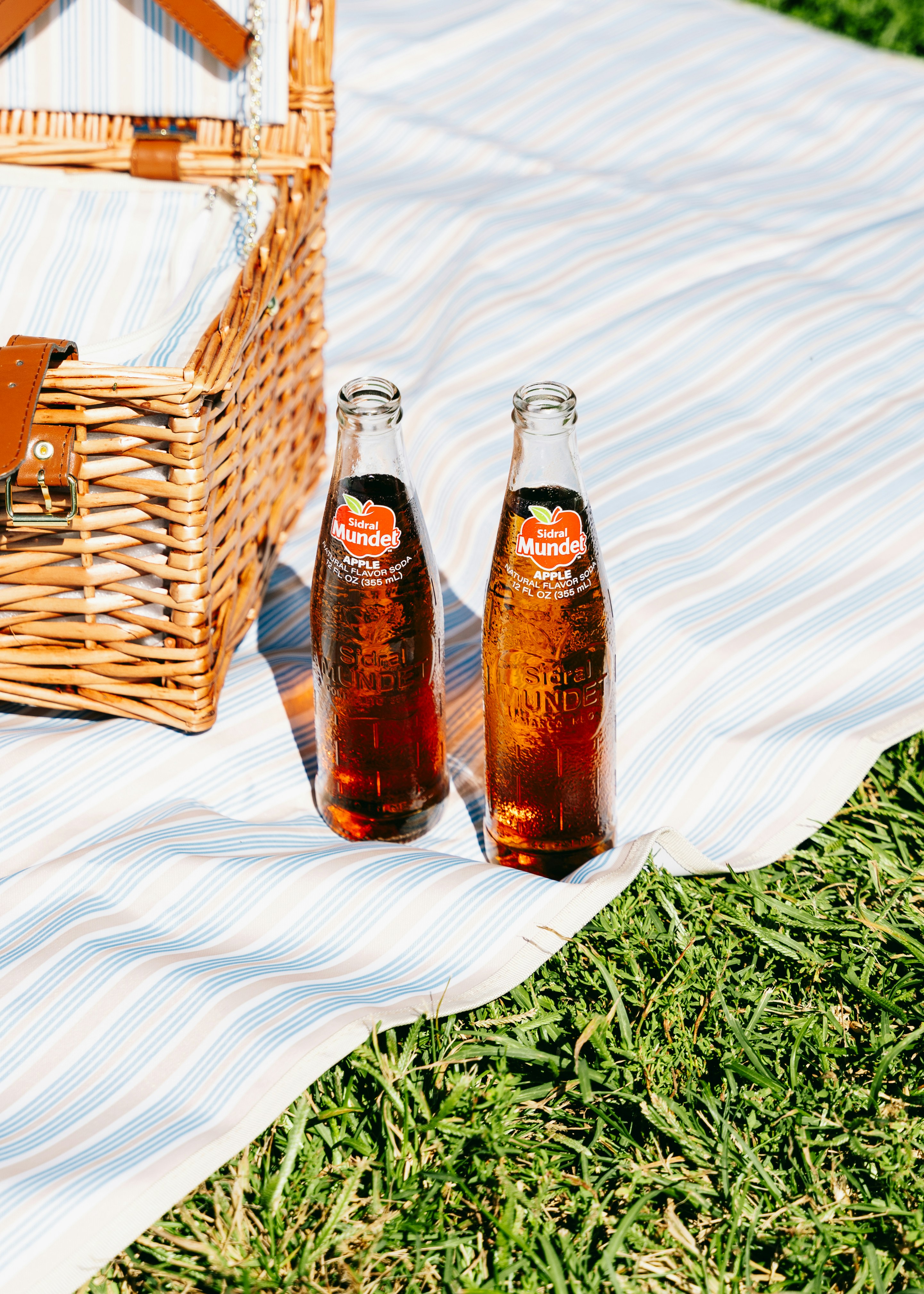 Two bottles of soda sit on a picnic blanket.
