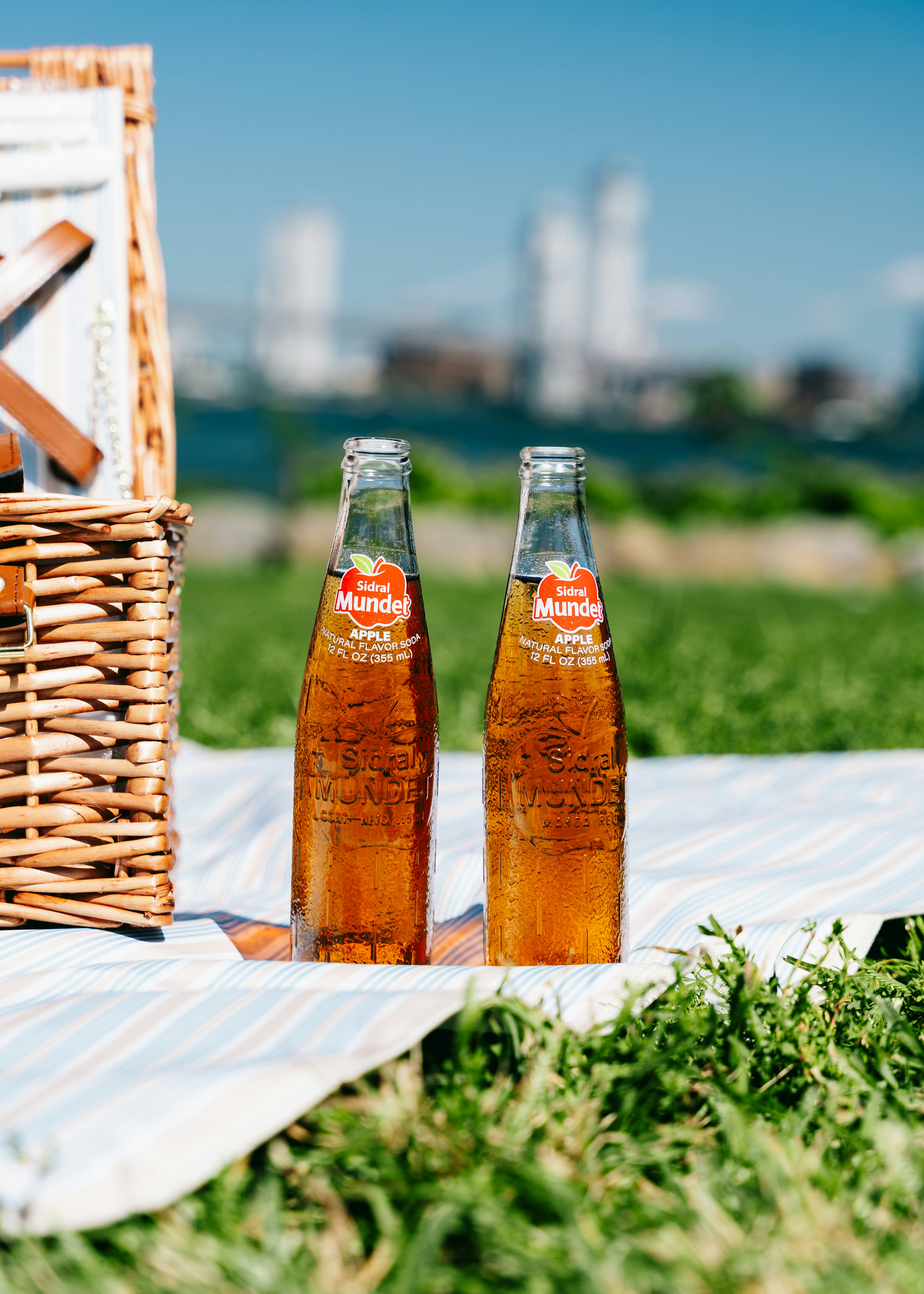 Two apple sodas sit on a picnic blanket.