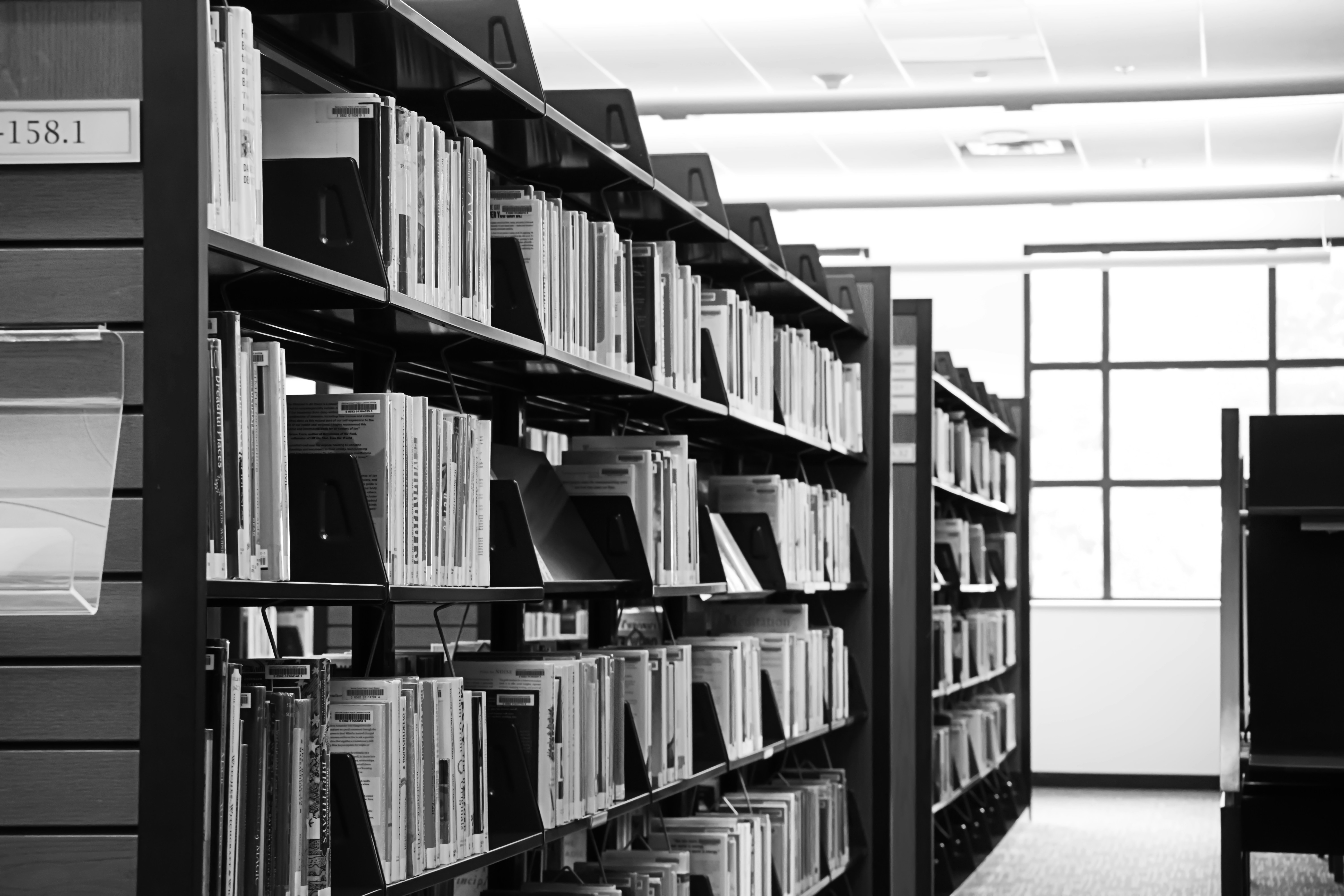 Kütüphane rafları arasında elinde dosyalarla duran, atama sürecini ve mesleki zorlukları yansıtan düşünceli bir kütüphaneci.