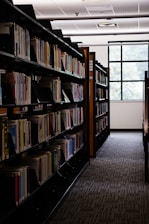 Rows of books line the shelves in the library.