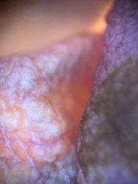 Here's a caption: close-up view of light-colored, textured surfaces.