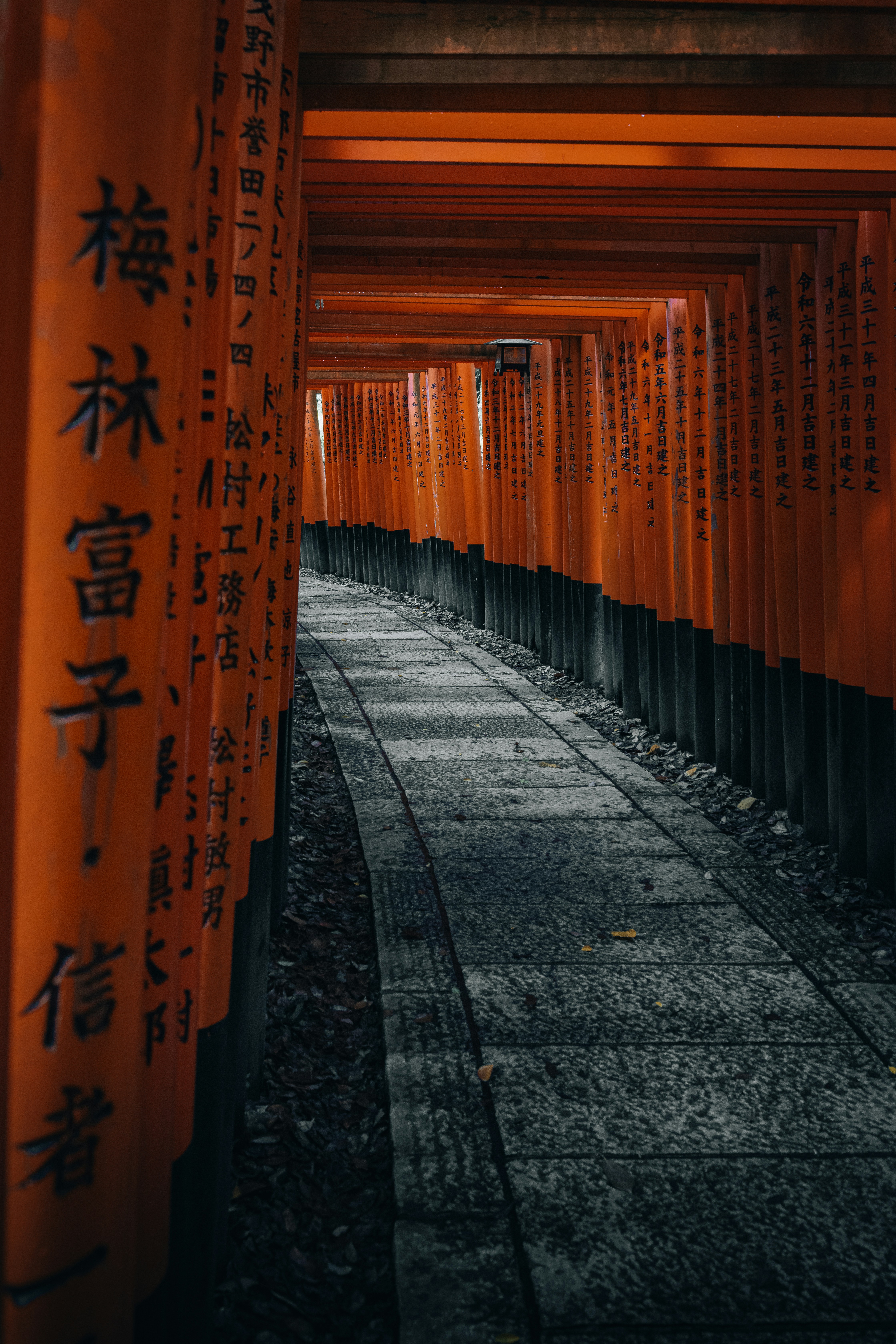 Photo by isaactmitchell