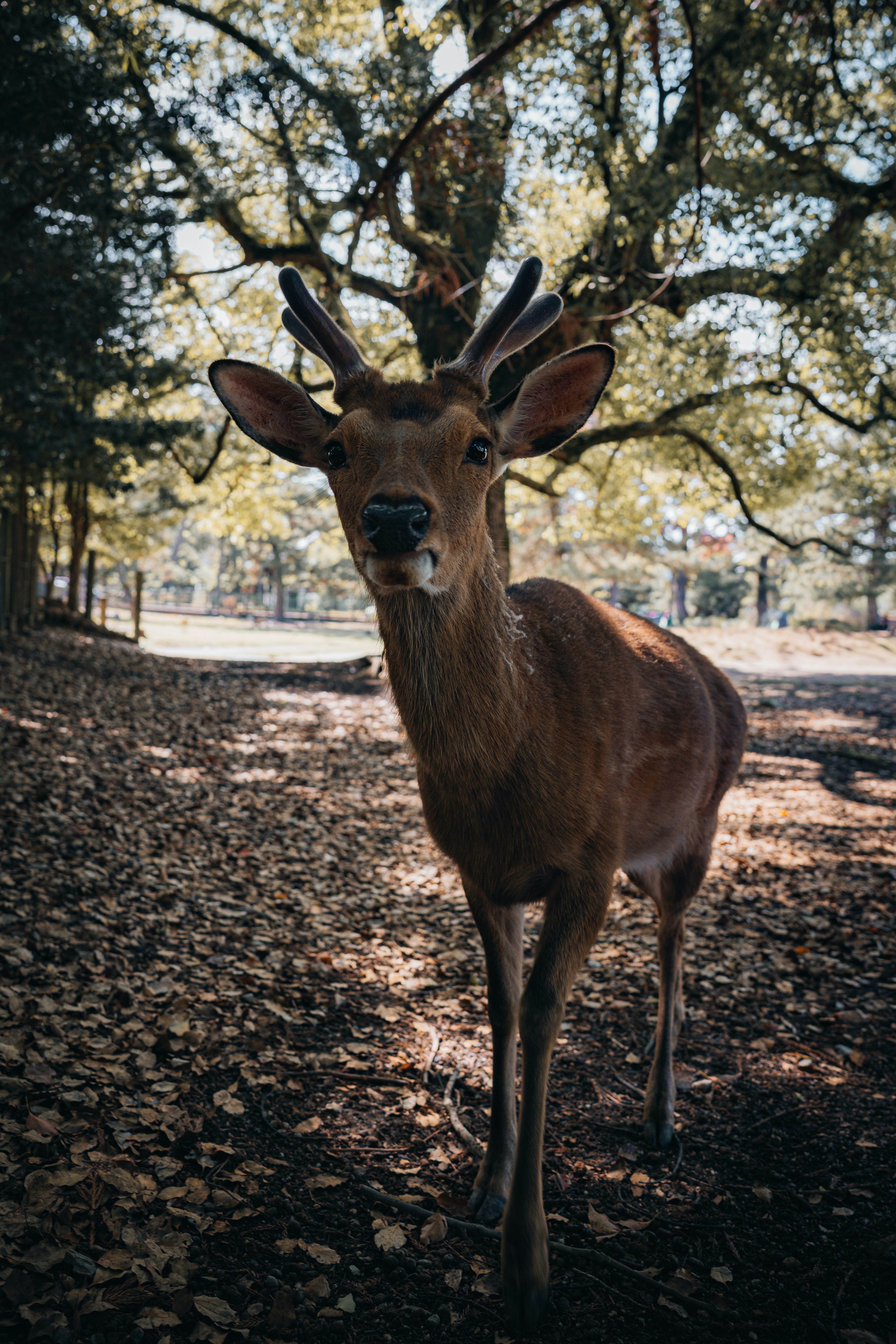 Photo by isaactmitchell