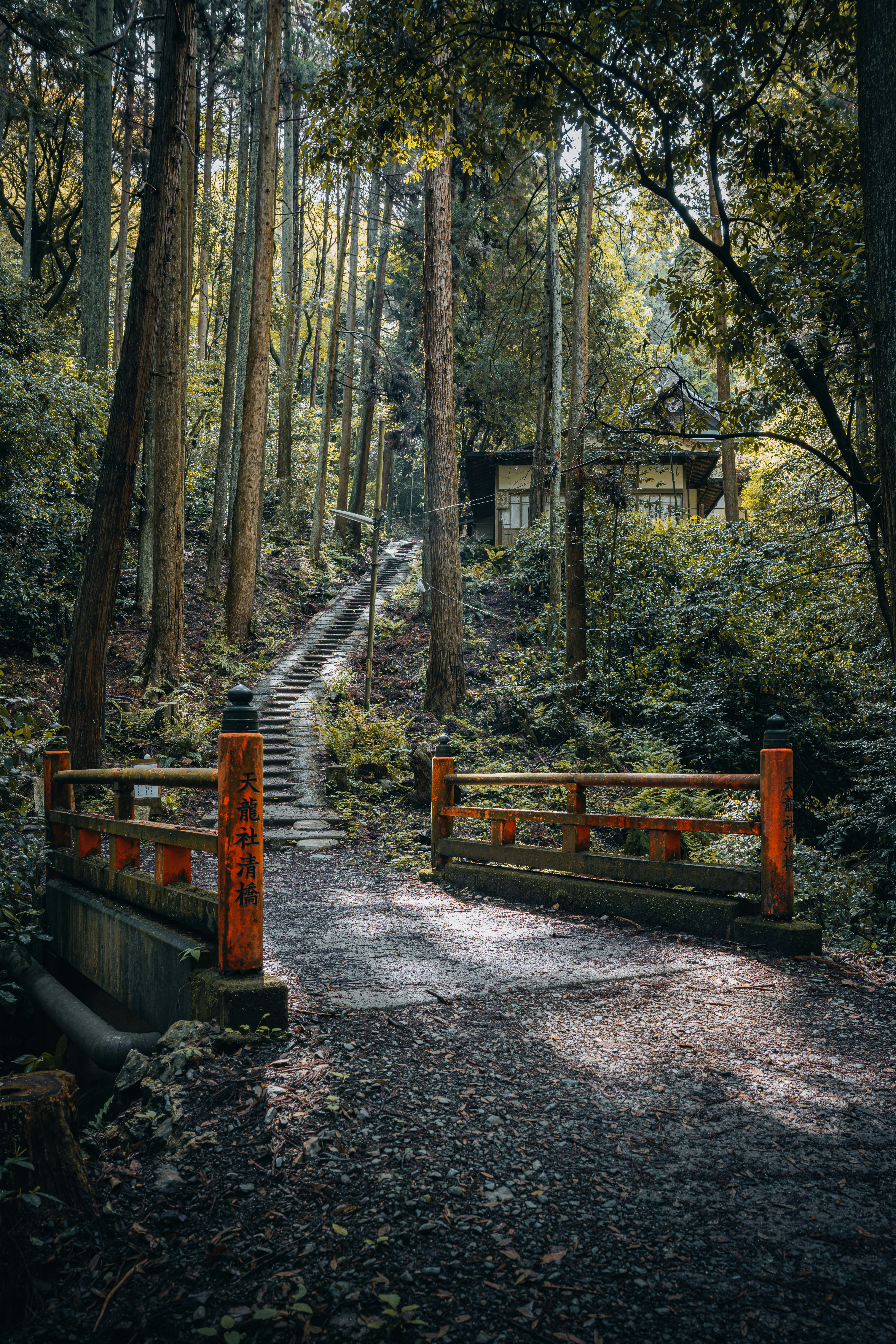 Photo by isaactmitchell