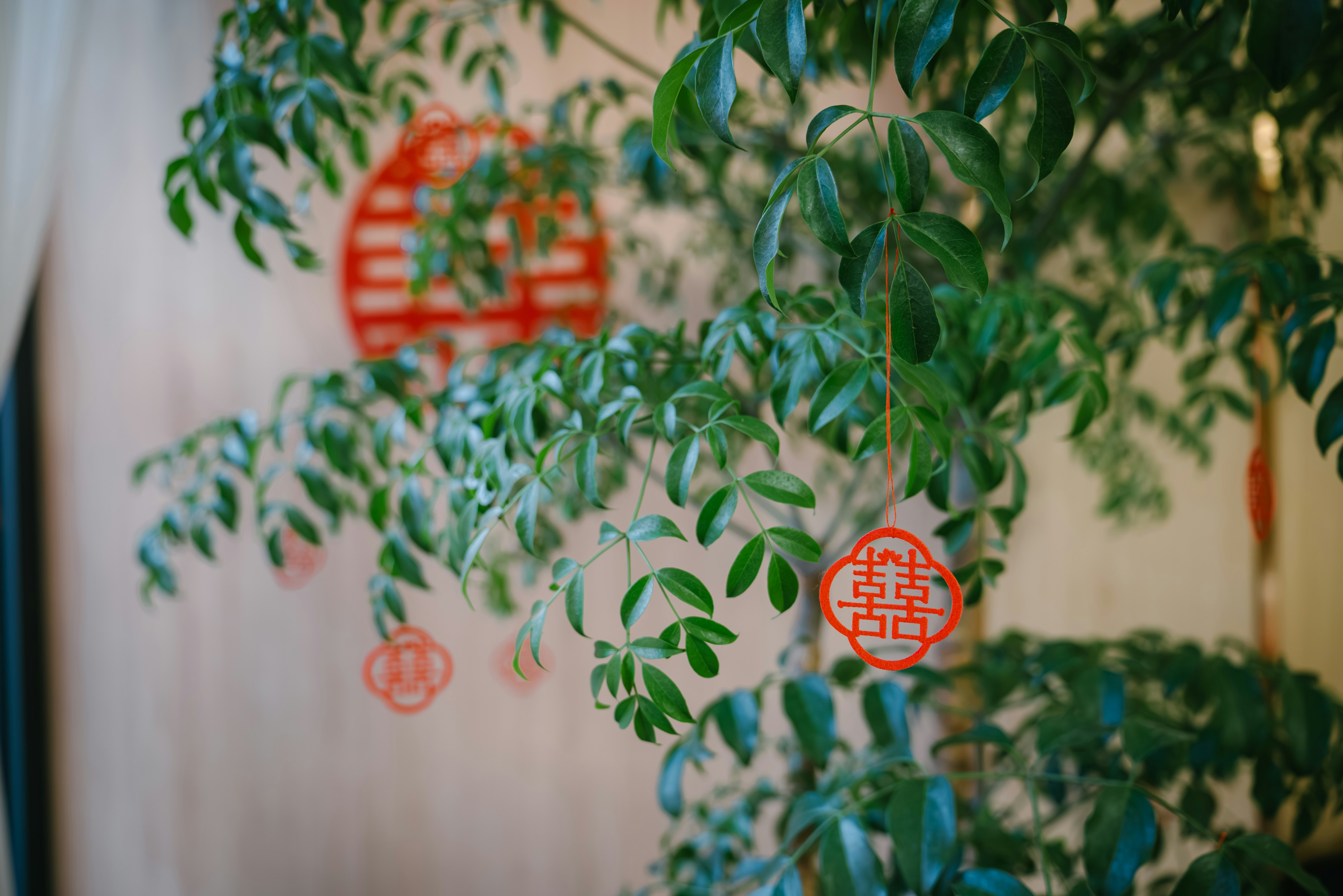 Photo by wangbinghua