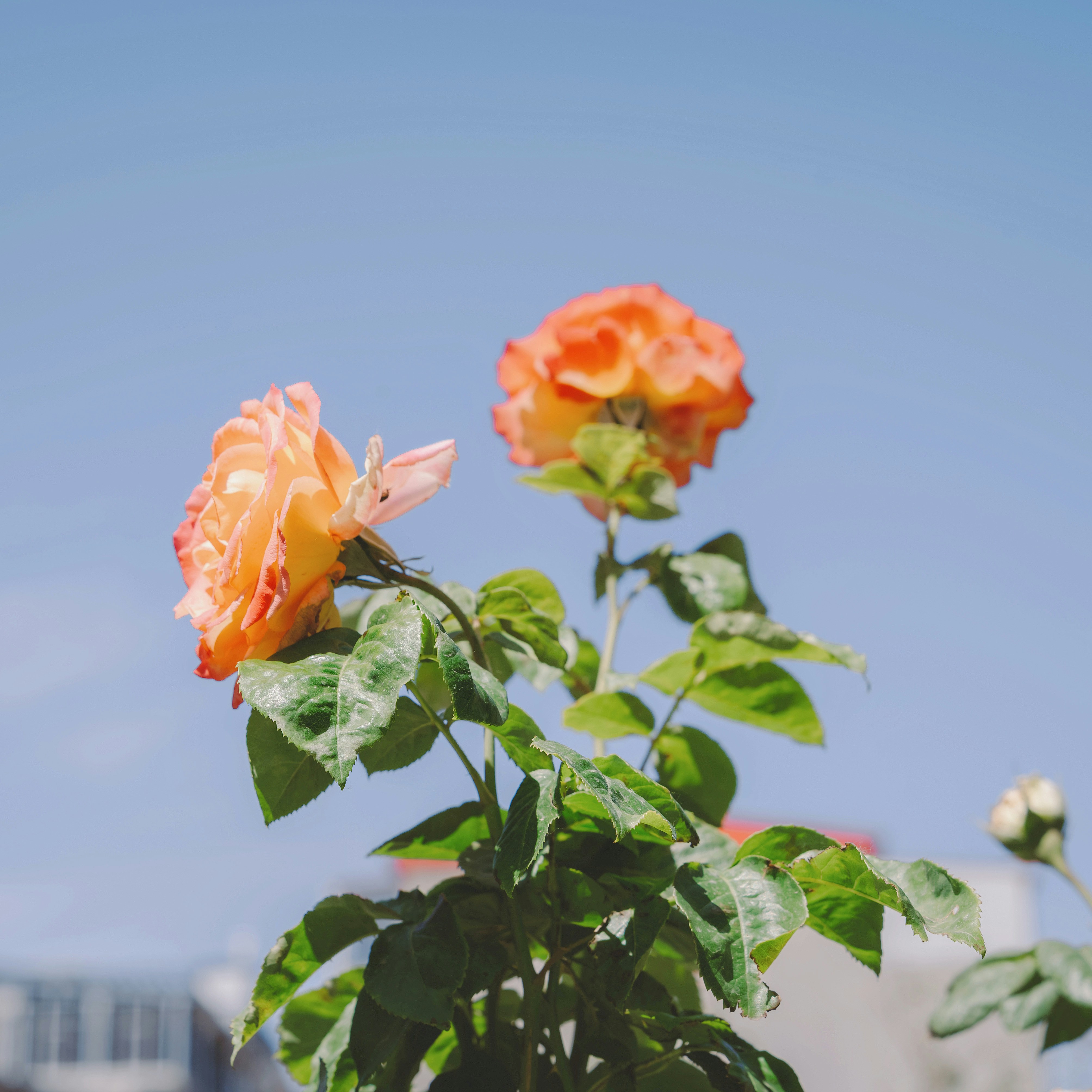 Photo by wangbinghua