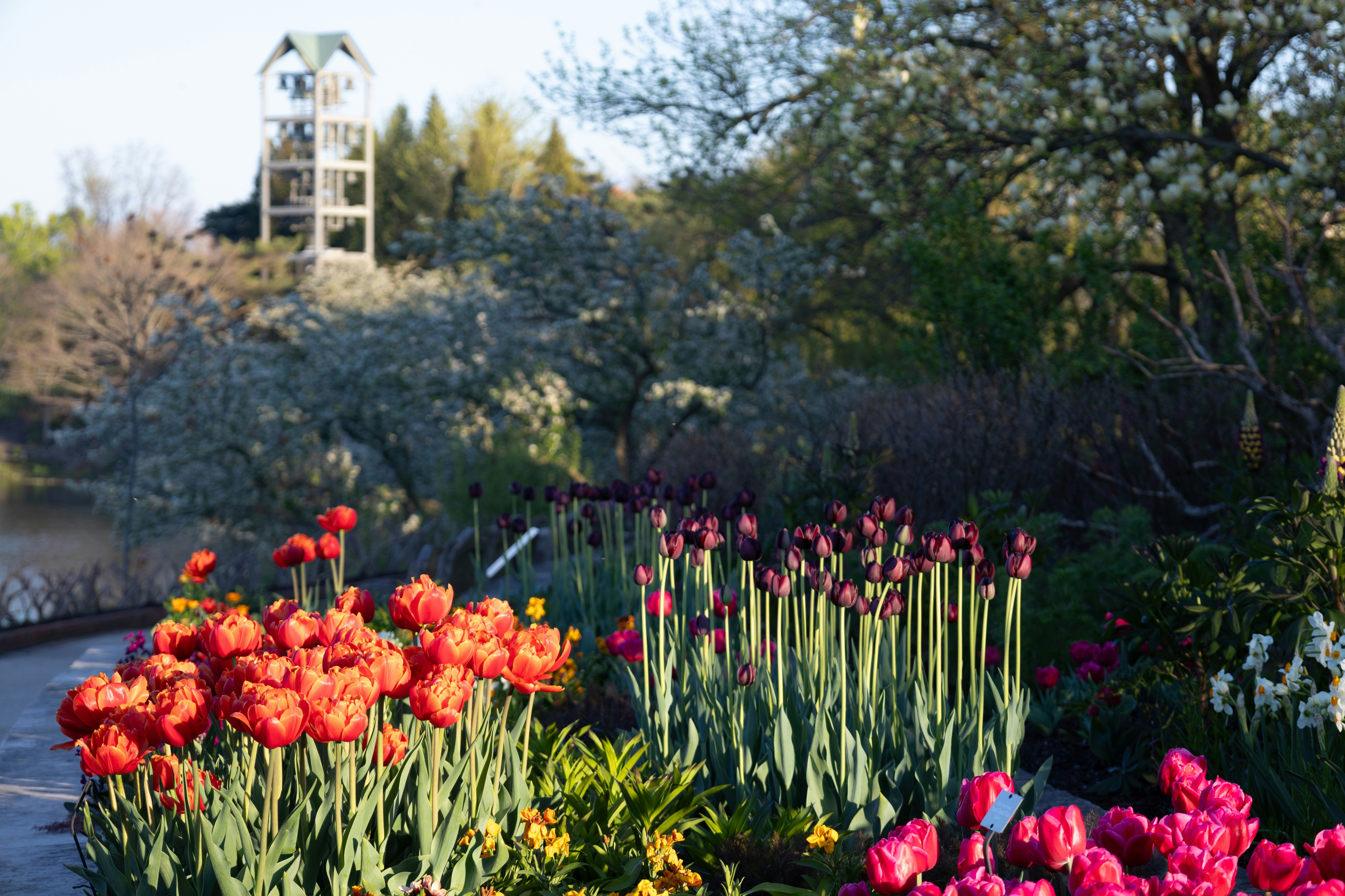 Photo by vincentyuan87