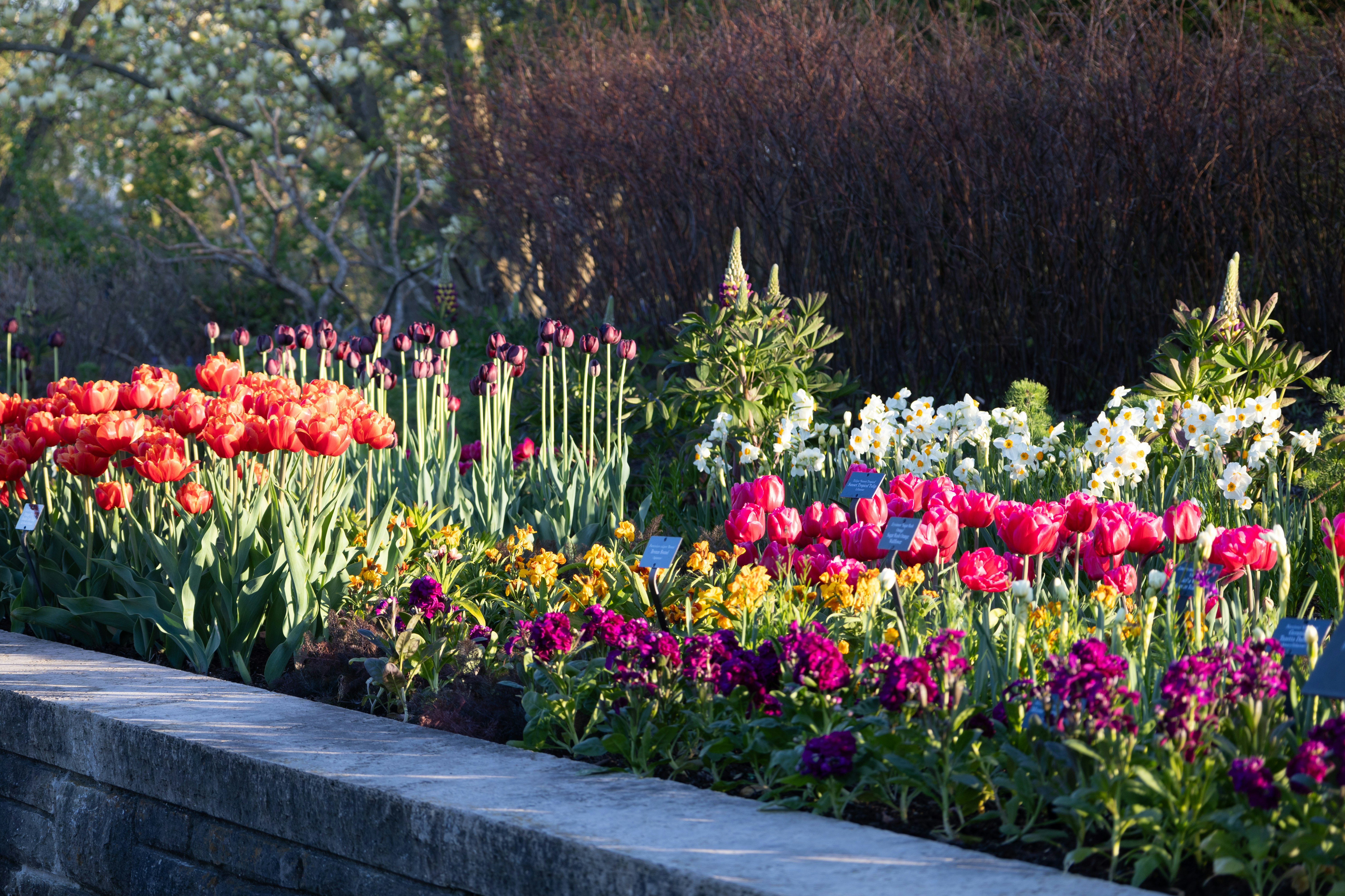 Photo by vincentyuan87