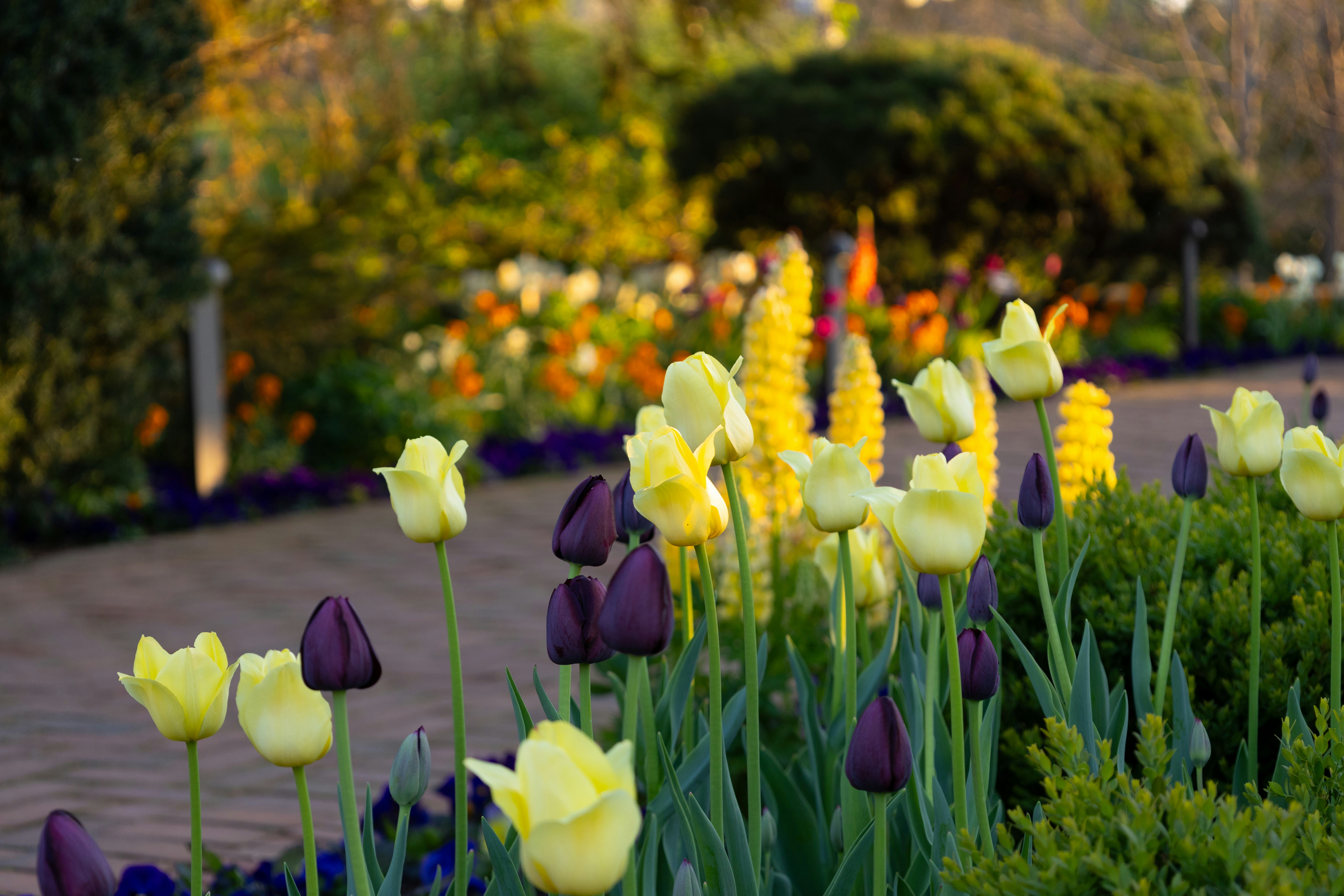 Photo by vincentyuan87