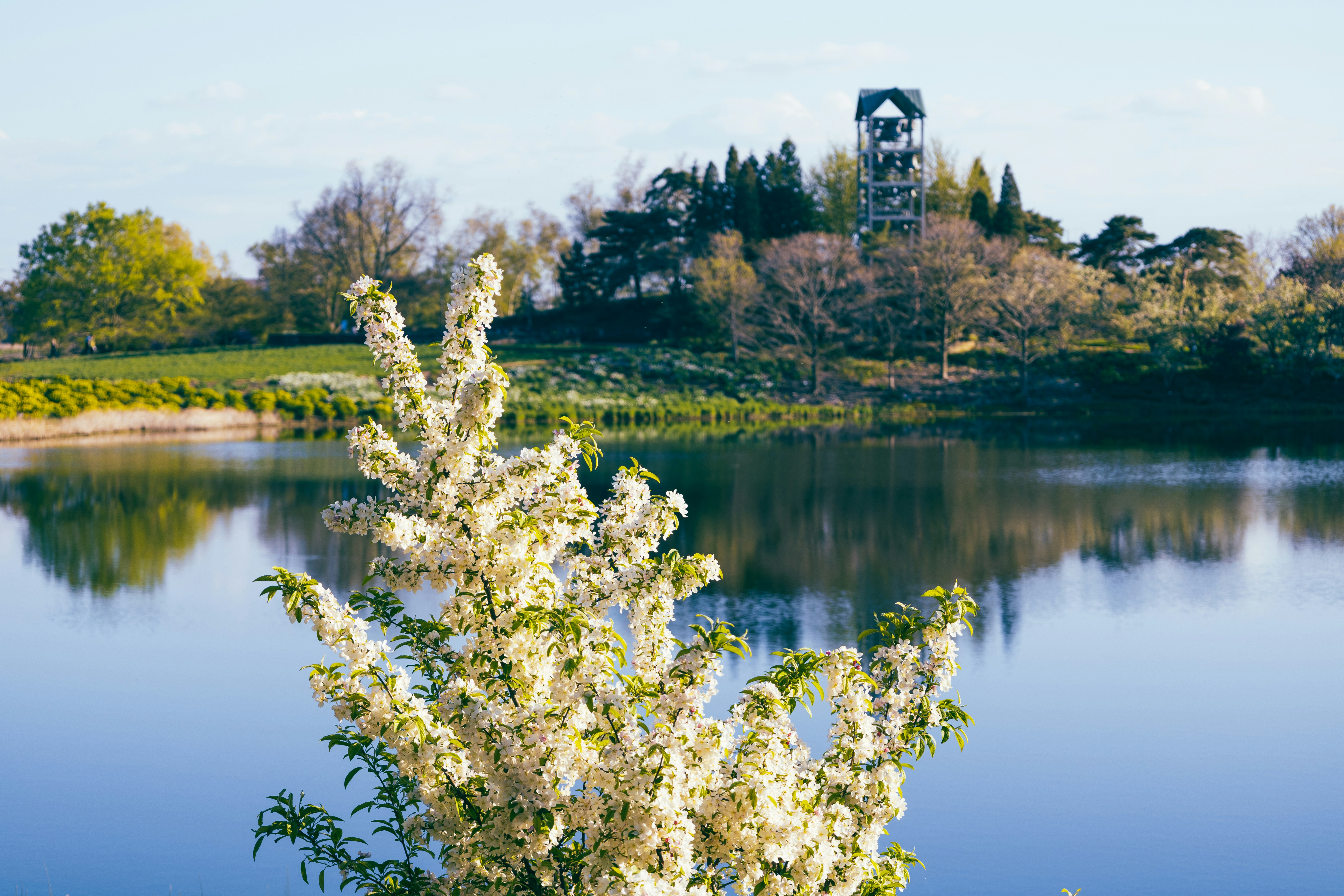 Photo by vincentyuan87