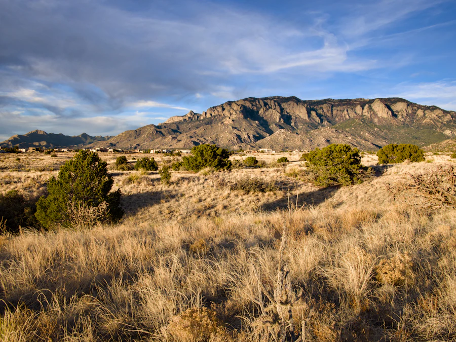 Three Desert Cities, Three Completely Different Deals
