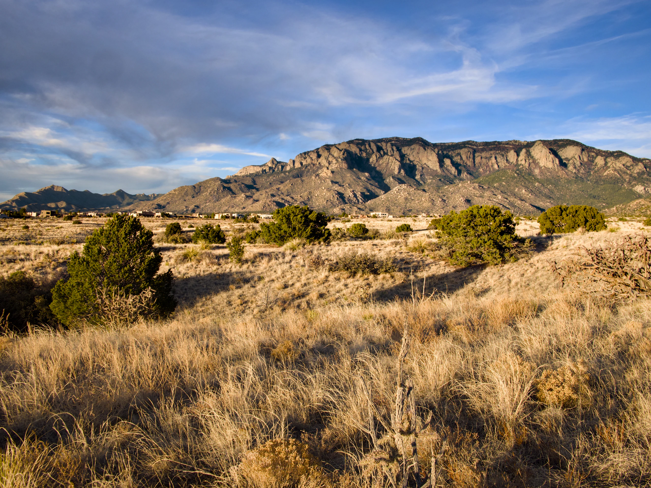 Three Desert Cities, Three Completely Different Deals