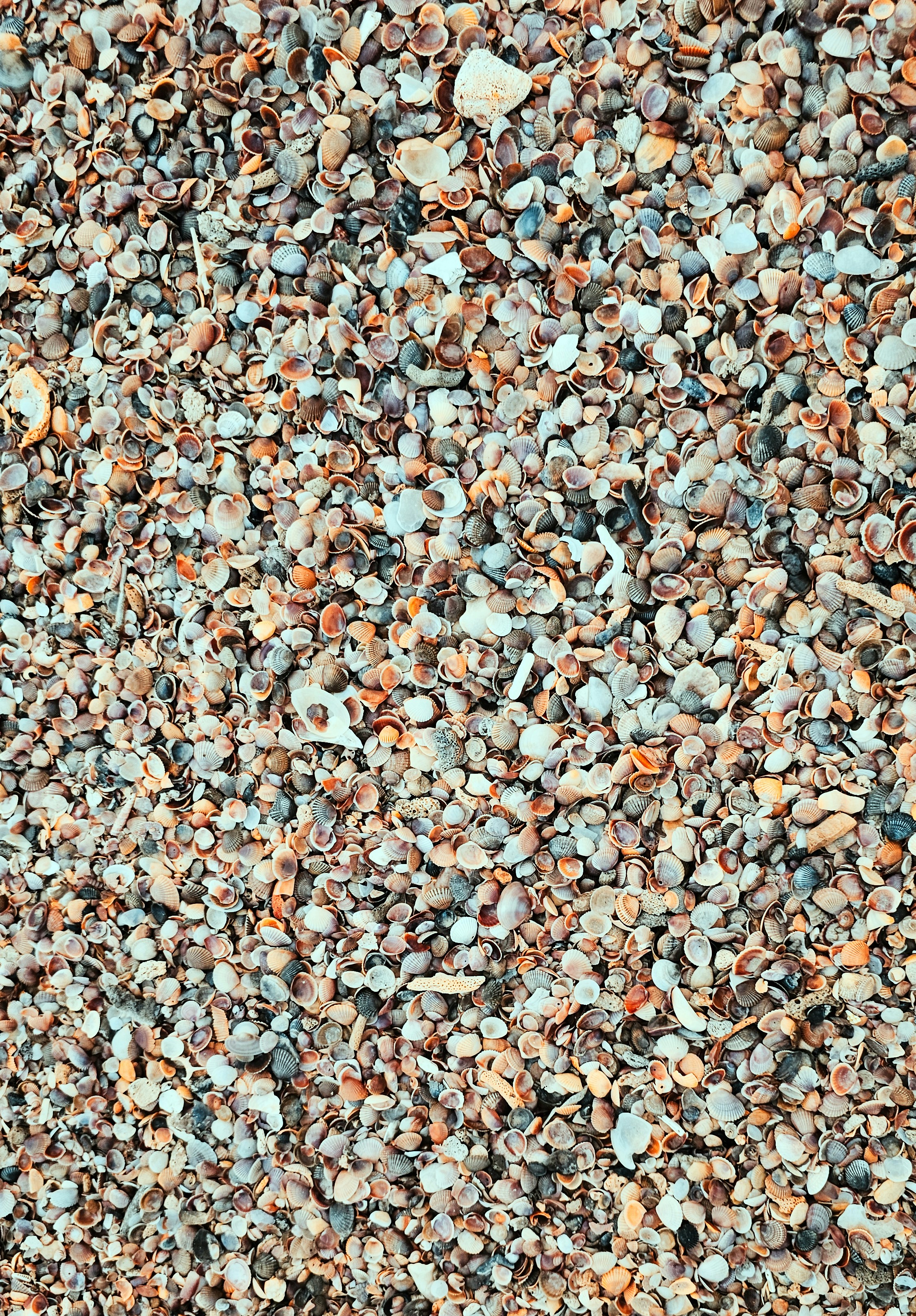 Photo by your_scorpion