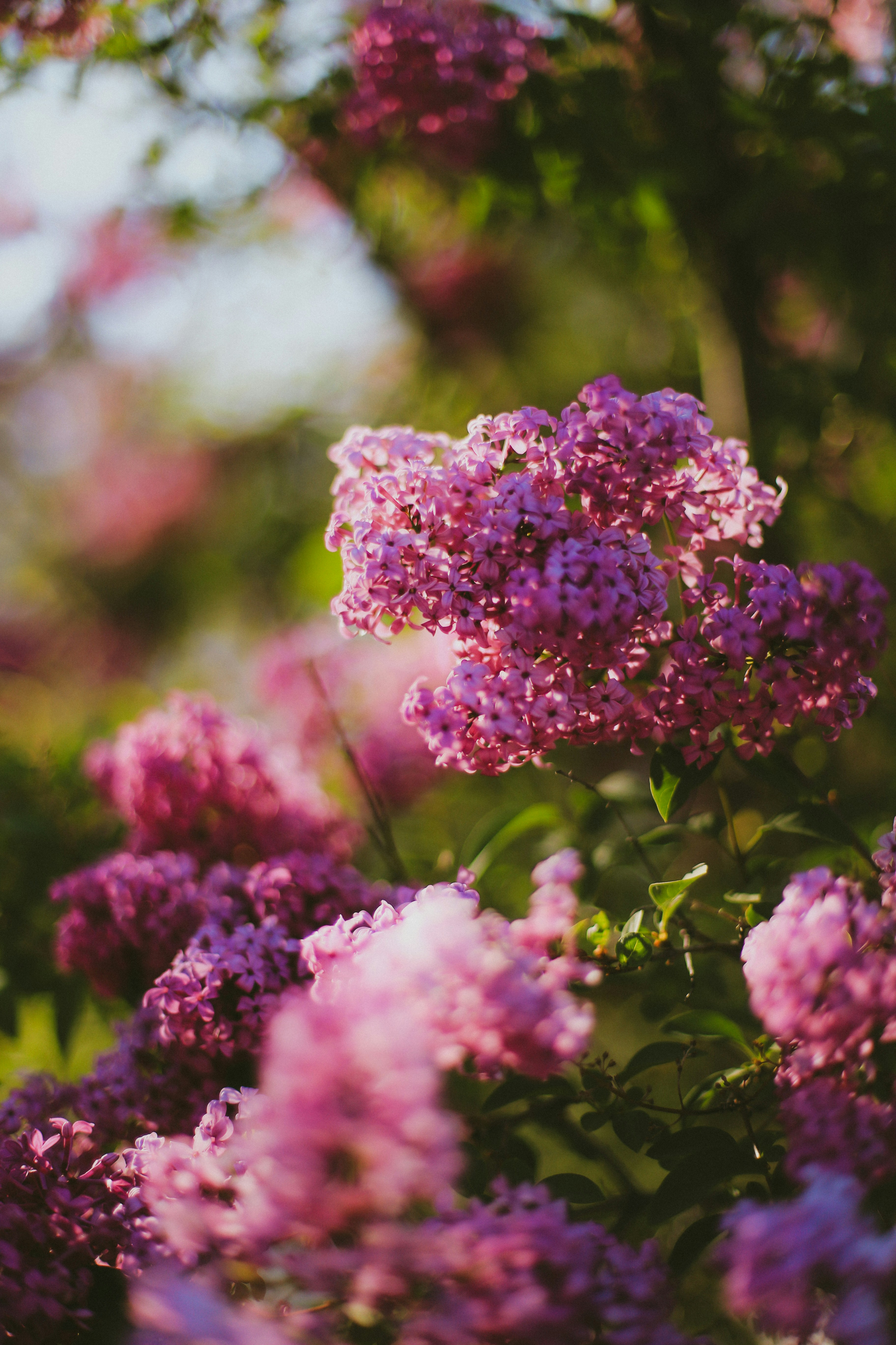 Photo by jessicalfadel