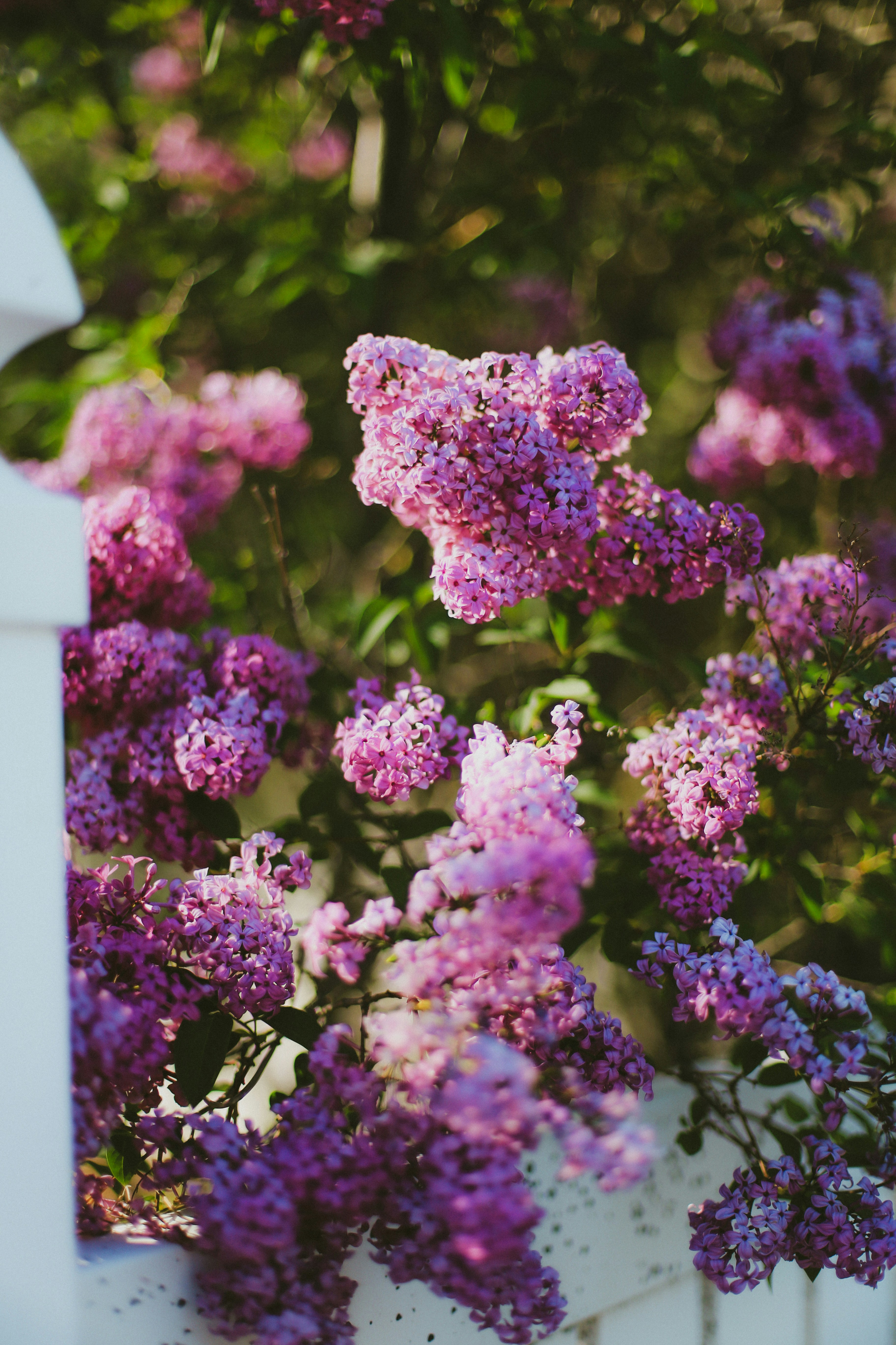 Photo by jessicalfadel