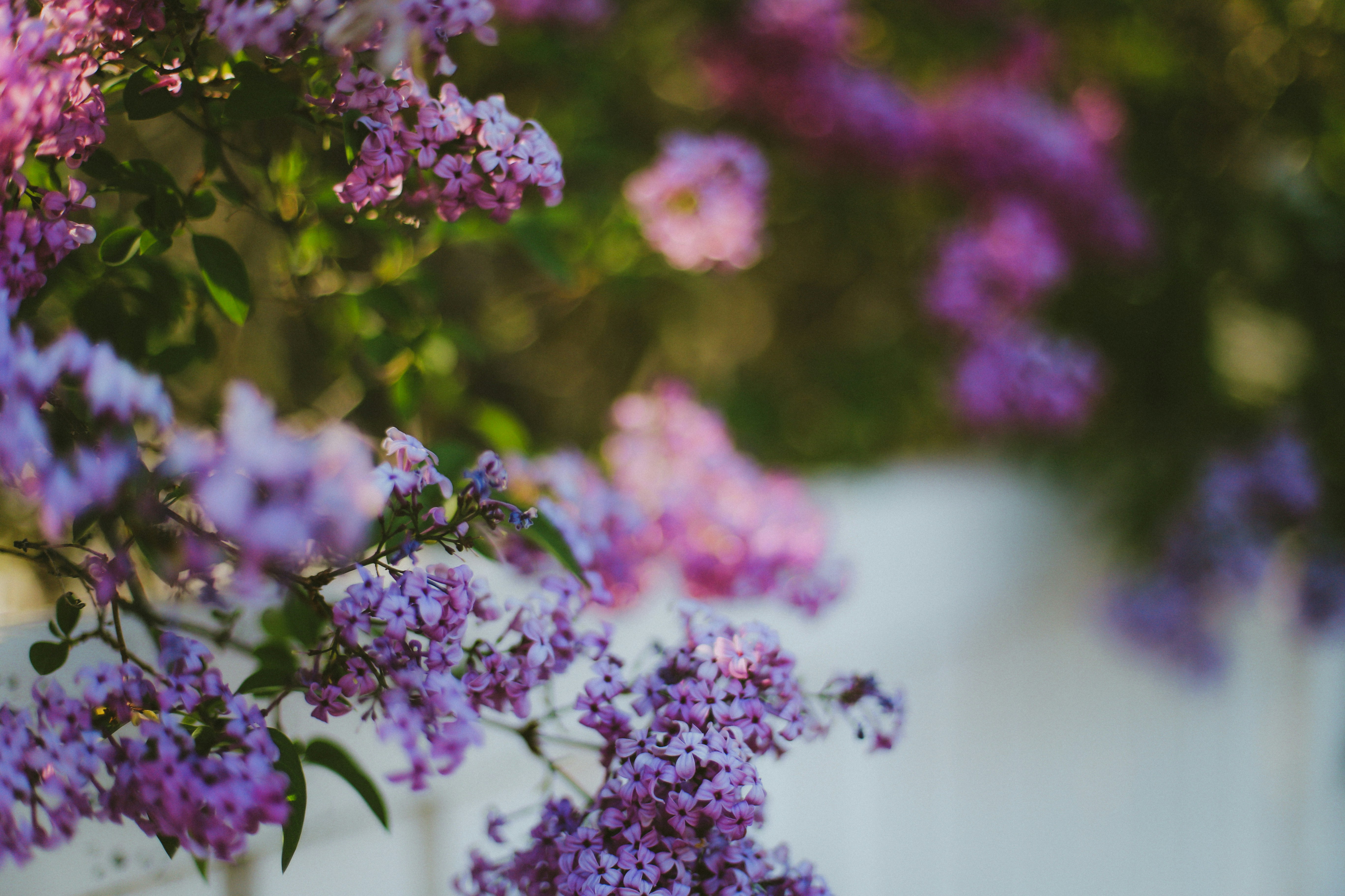 Photo by jessicalfadel