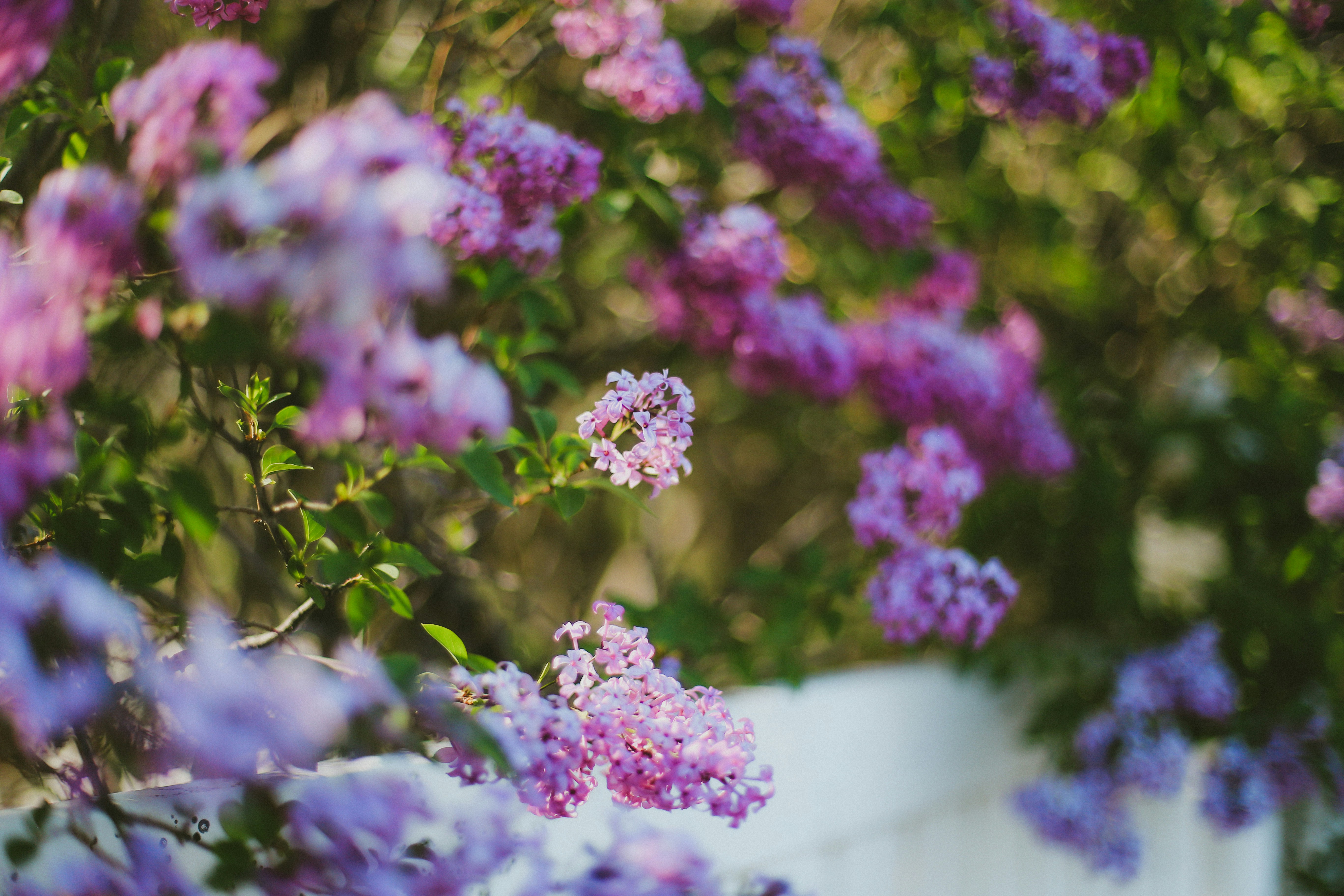 Photo by jessicalfadel