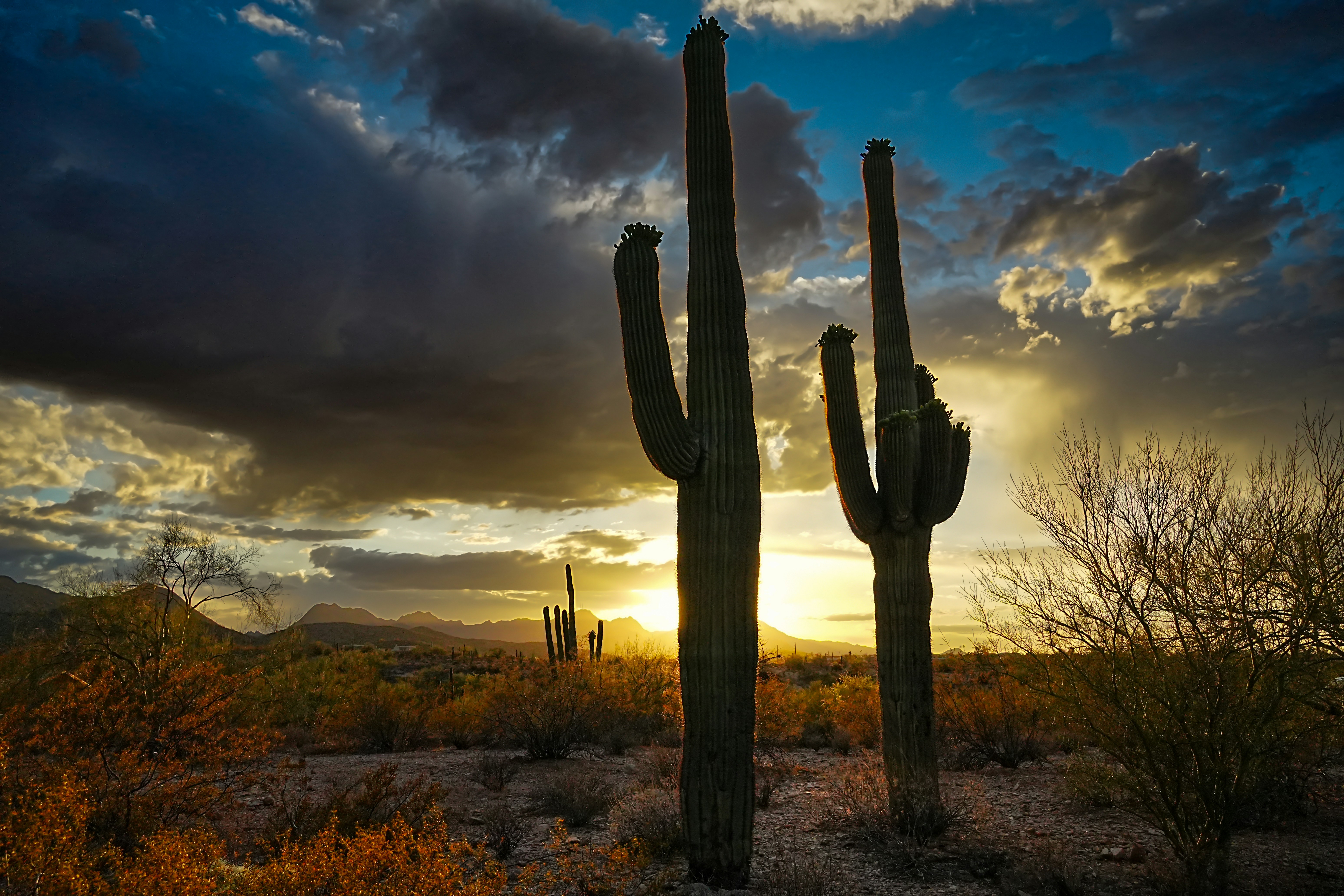 TUCSON passport office