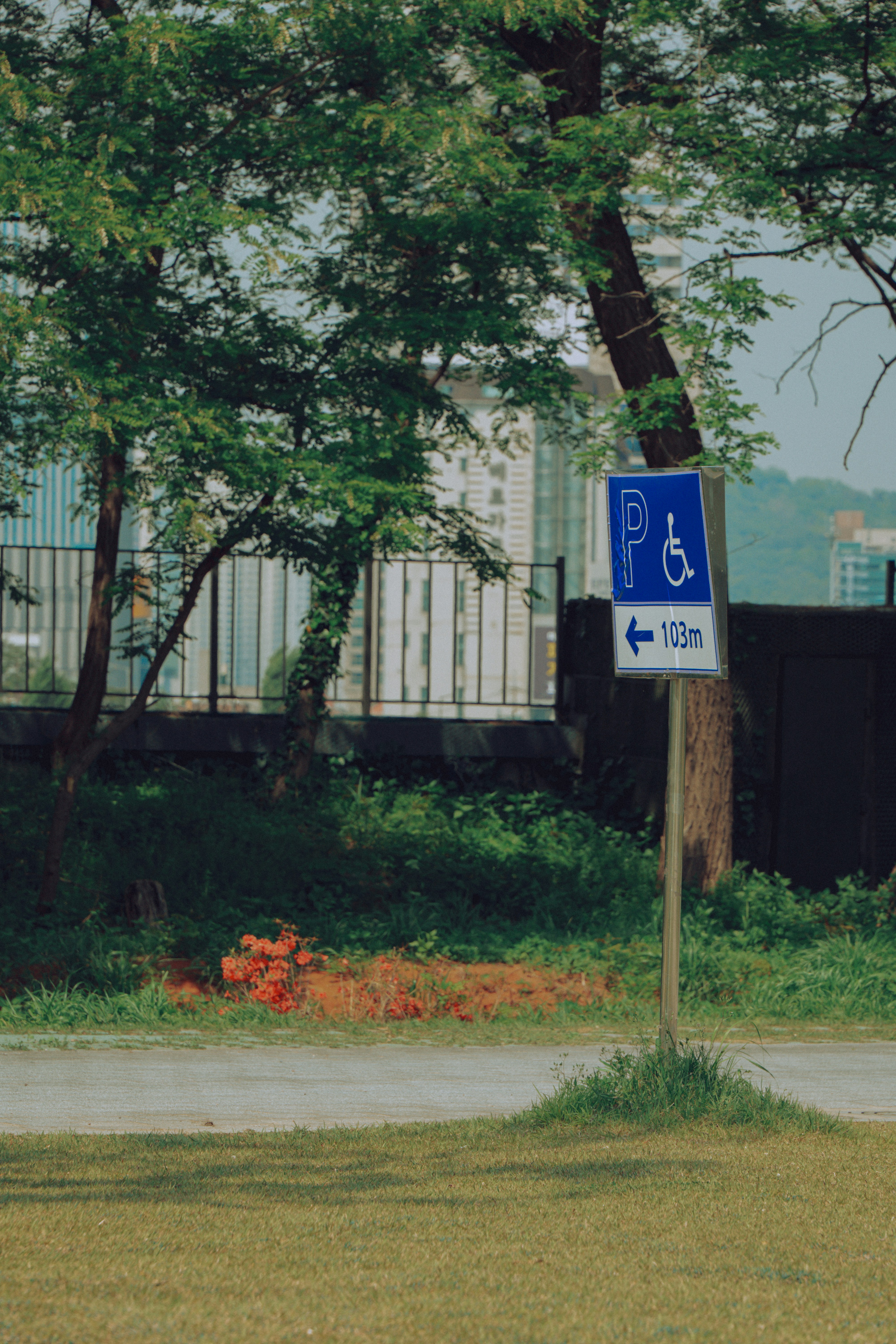 Photo by brother_yoon