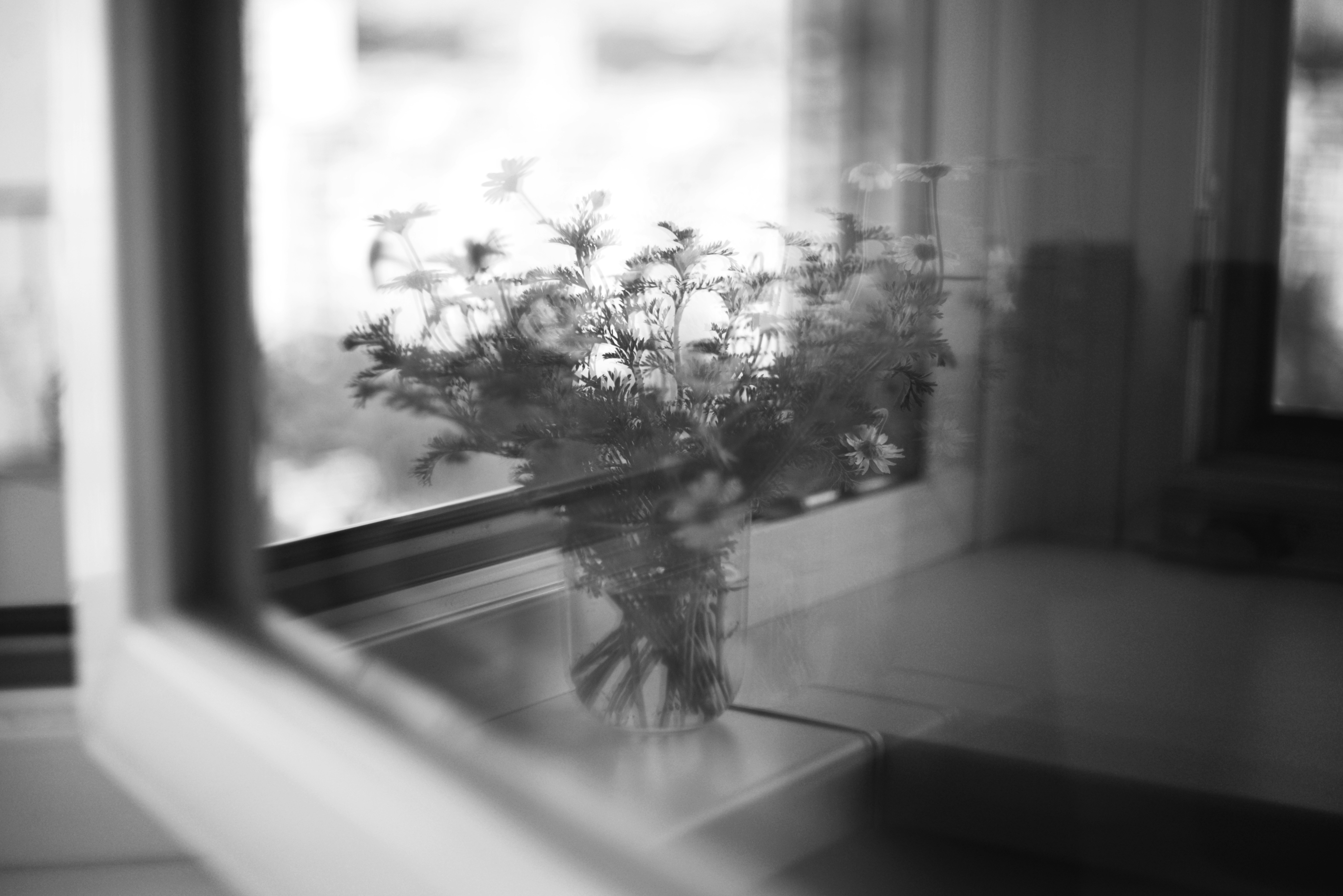 Photo by cherstve_pechivo