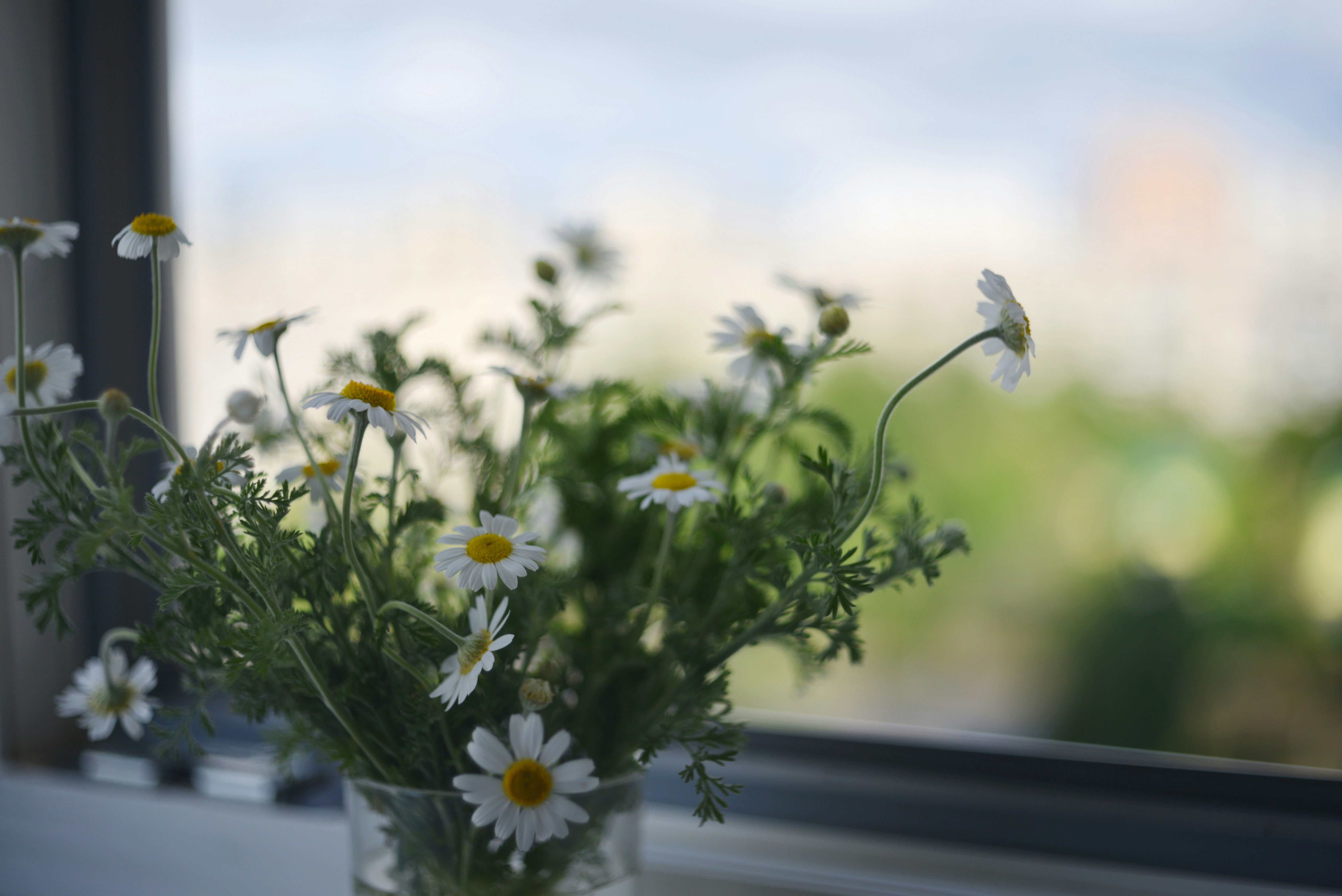 Photo by cherstve_pechivo